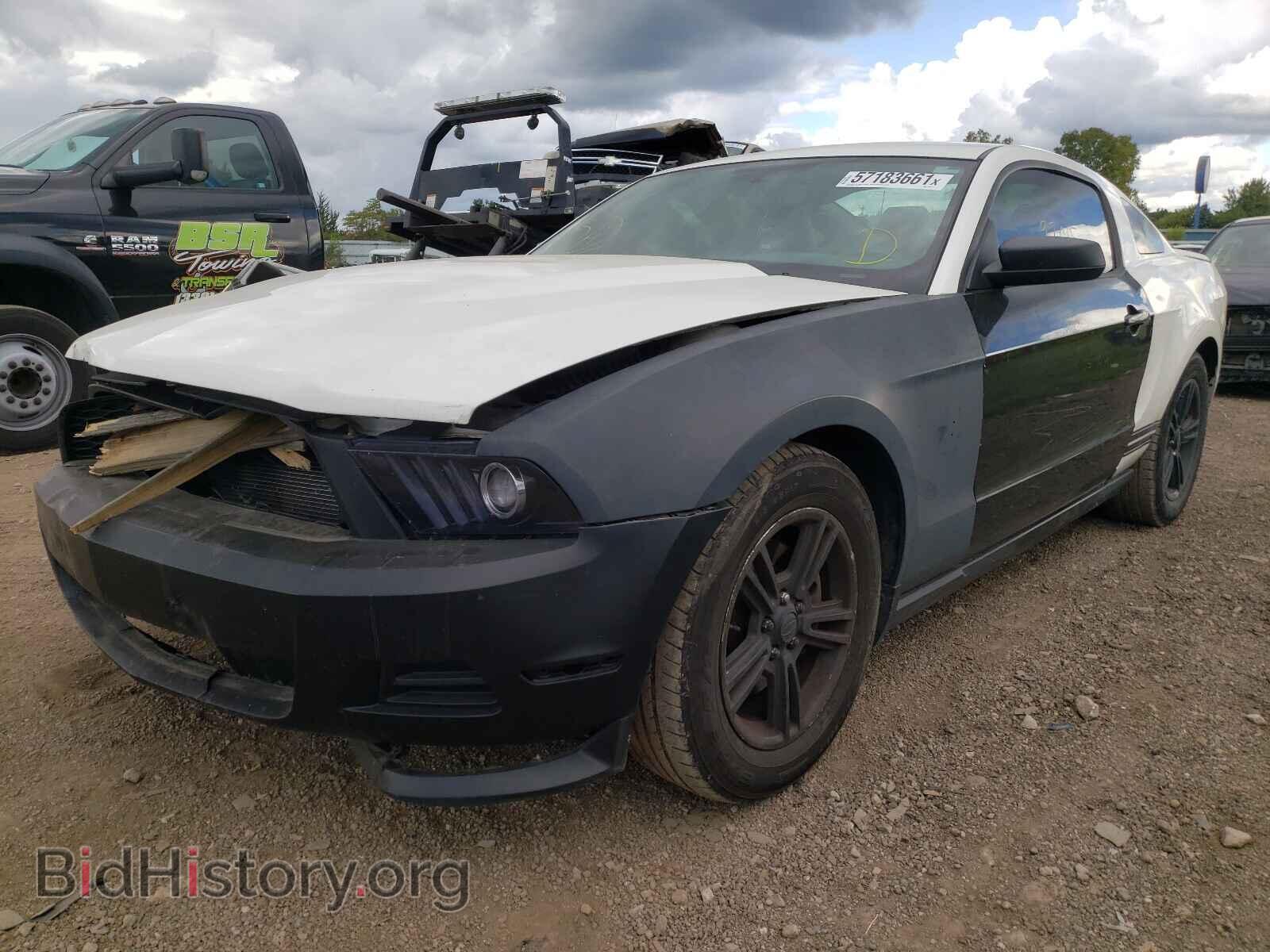 2012 FORD MUSTANG - VIN: 1ZVBP8AM6C5232708 - Фото 2