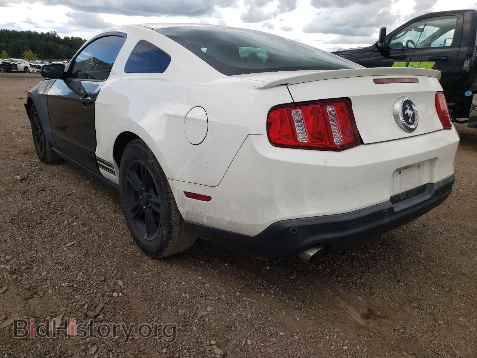 2012 FORD MUSTANG - VIN: 1ZVBP8AM6C5232708 - Фото 3