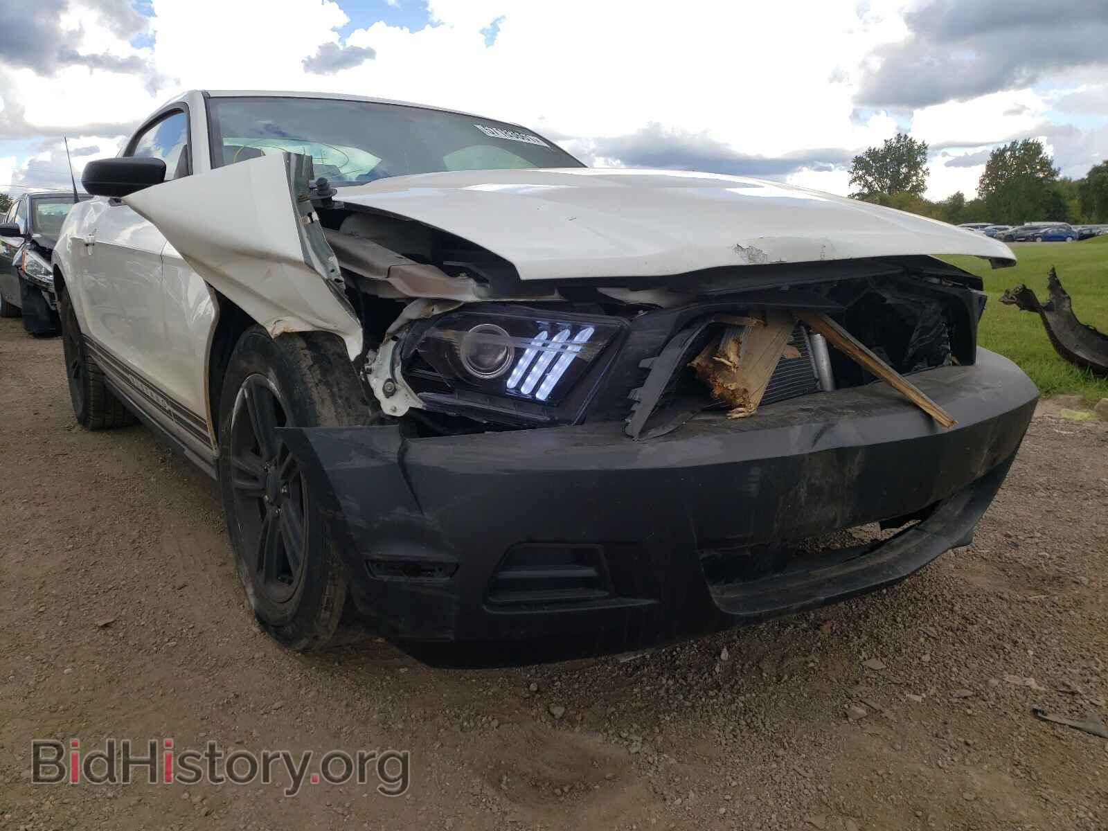 2012 FORD MUSTANG - VIN: 1ZVBP8AM6C5232708 - Фото 9