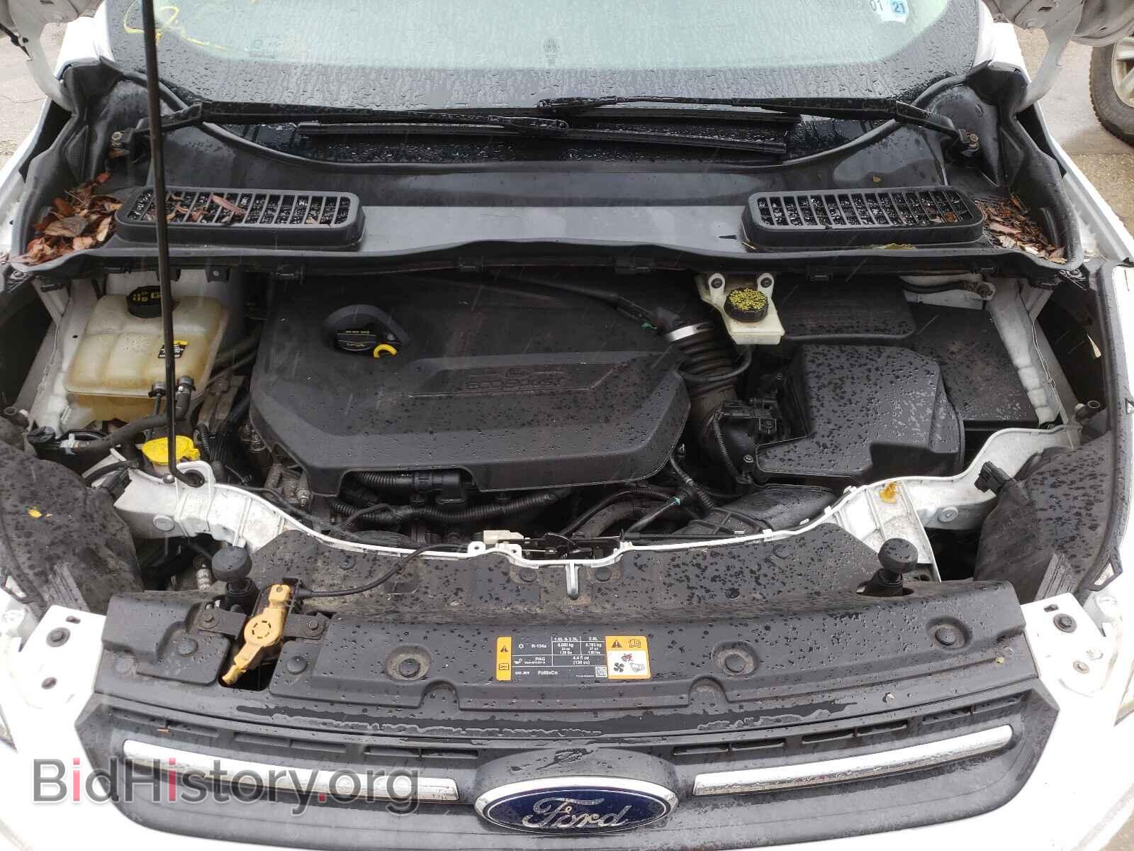 2013 FORD ESCAPE - VIN: 1FMCU0GX4DUA72642 - Фото 7