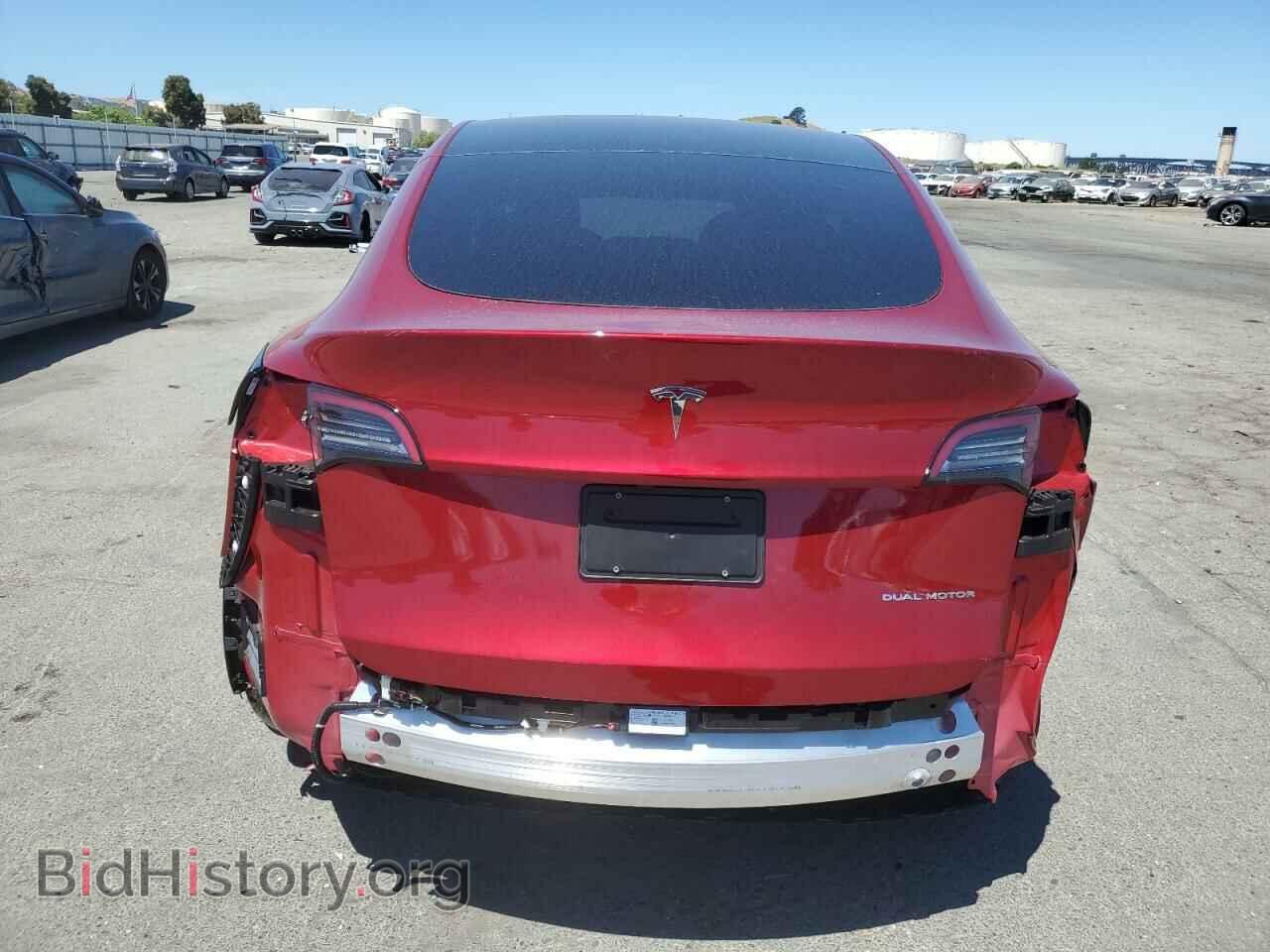 2024 TESLA MODEL Y - VIN: 7SAYGDEE1RF031902 - Фото 6