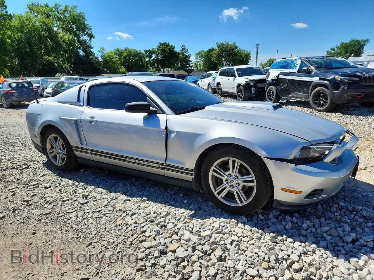 2010 FORD MUSTANG - VIN: 1ZVBP8AN3A5150070 - Фото 4