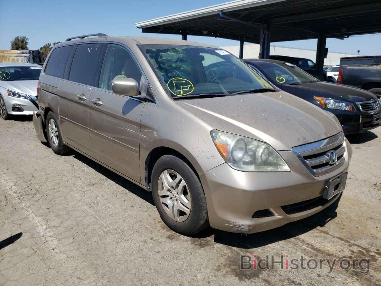 Photo 5FNRL38496B404805 - HONDA ODYSSEY 2006