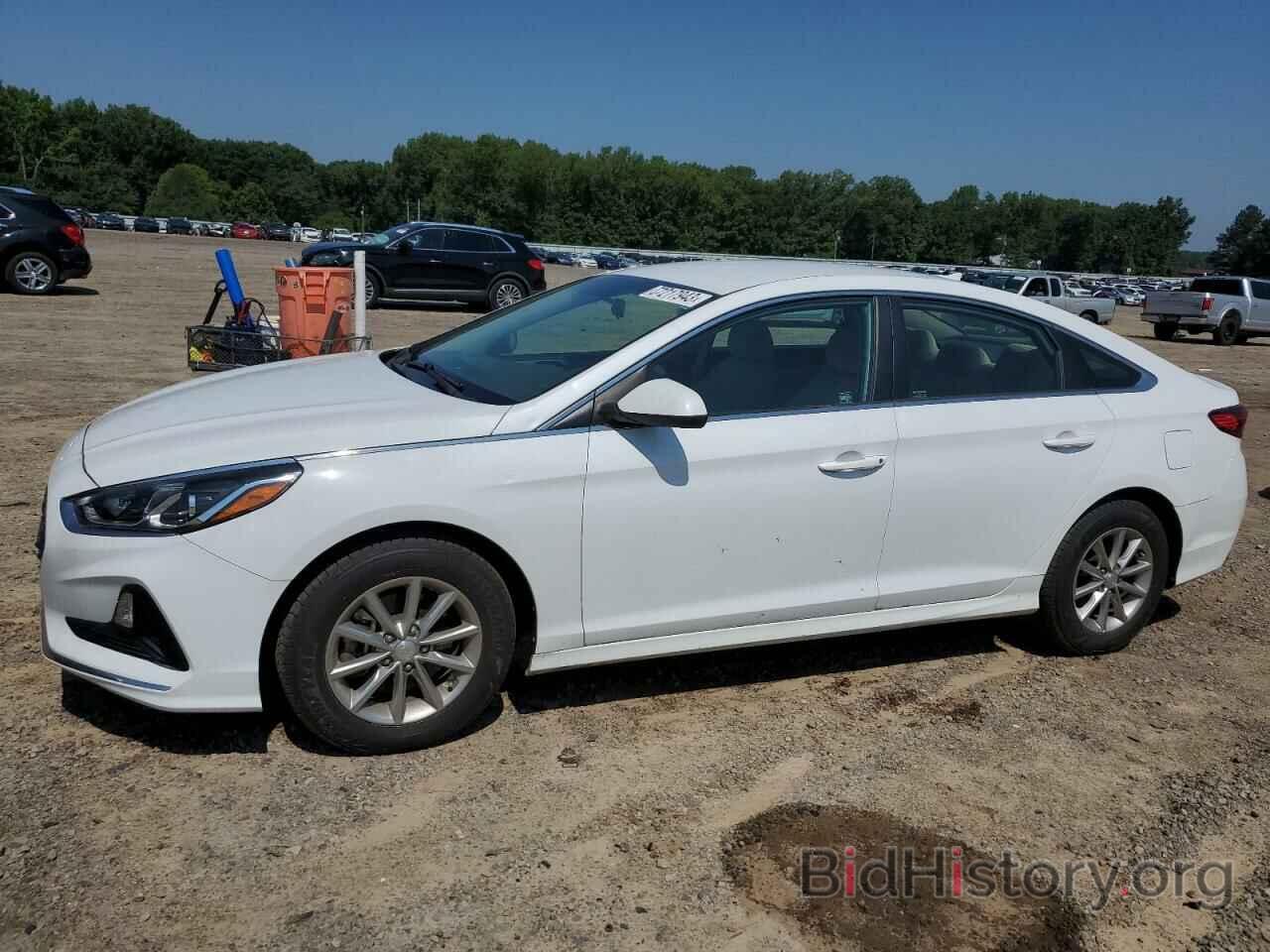 Photo 5NPE24AF5KH759498 - HYUNDAI SONATA 2019