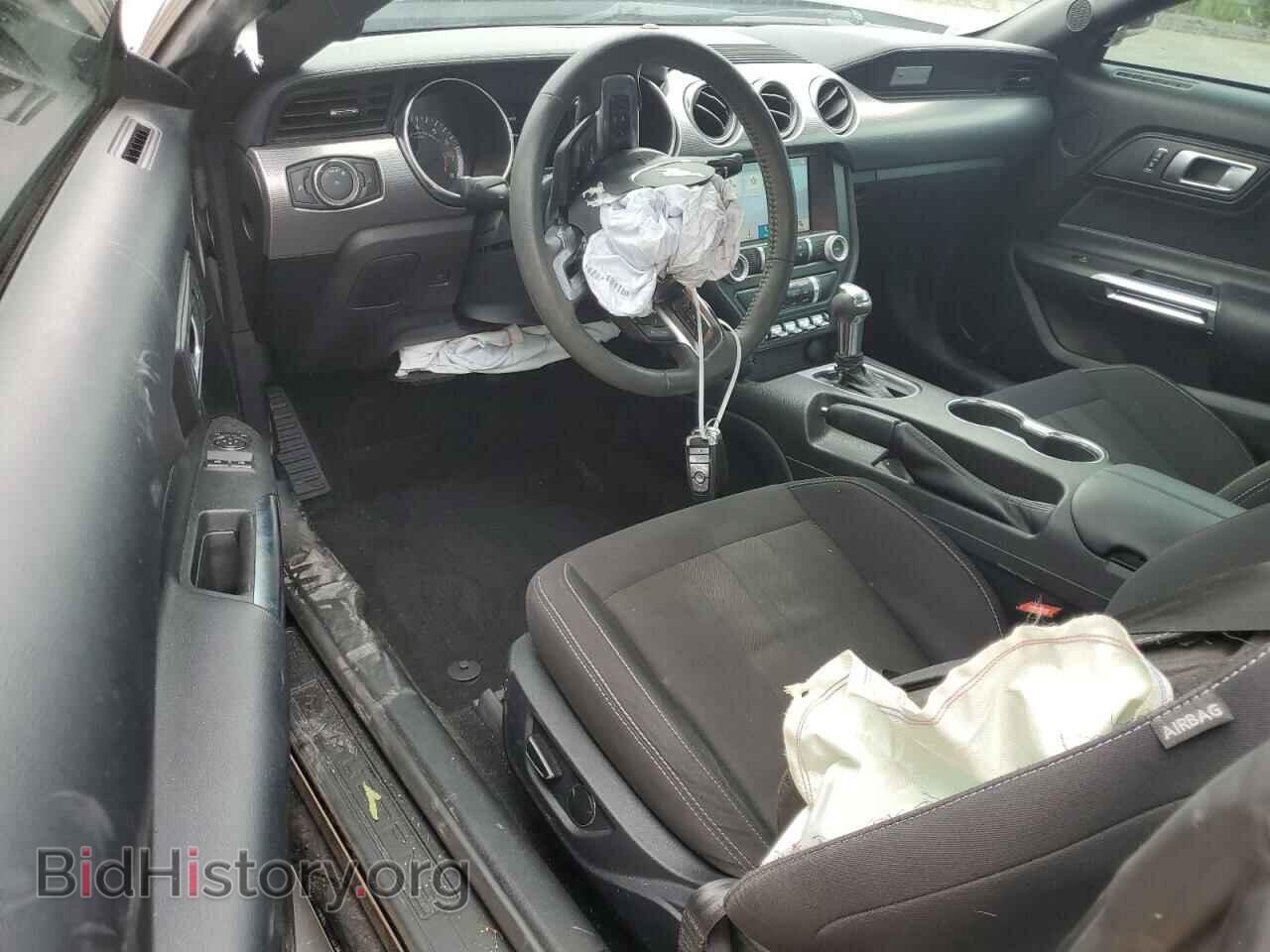 2019 FORD ALL Models - VIN: 1FA6P8TH4K5203801 - Photo 8