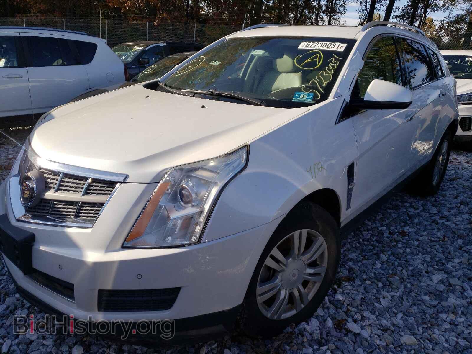 2011 CADILLAC SRX - VIN: 3GYFNDEY1BS551707 - Фото 2