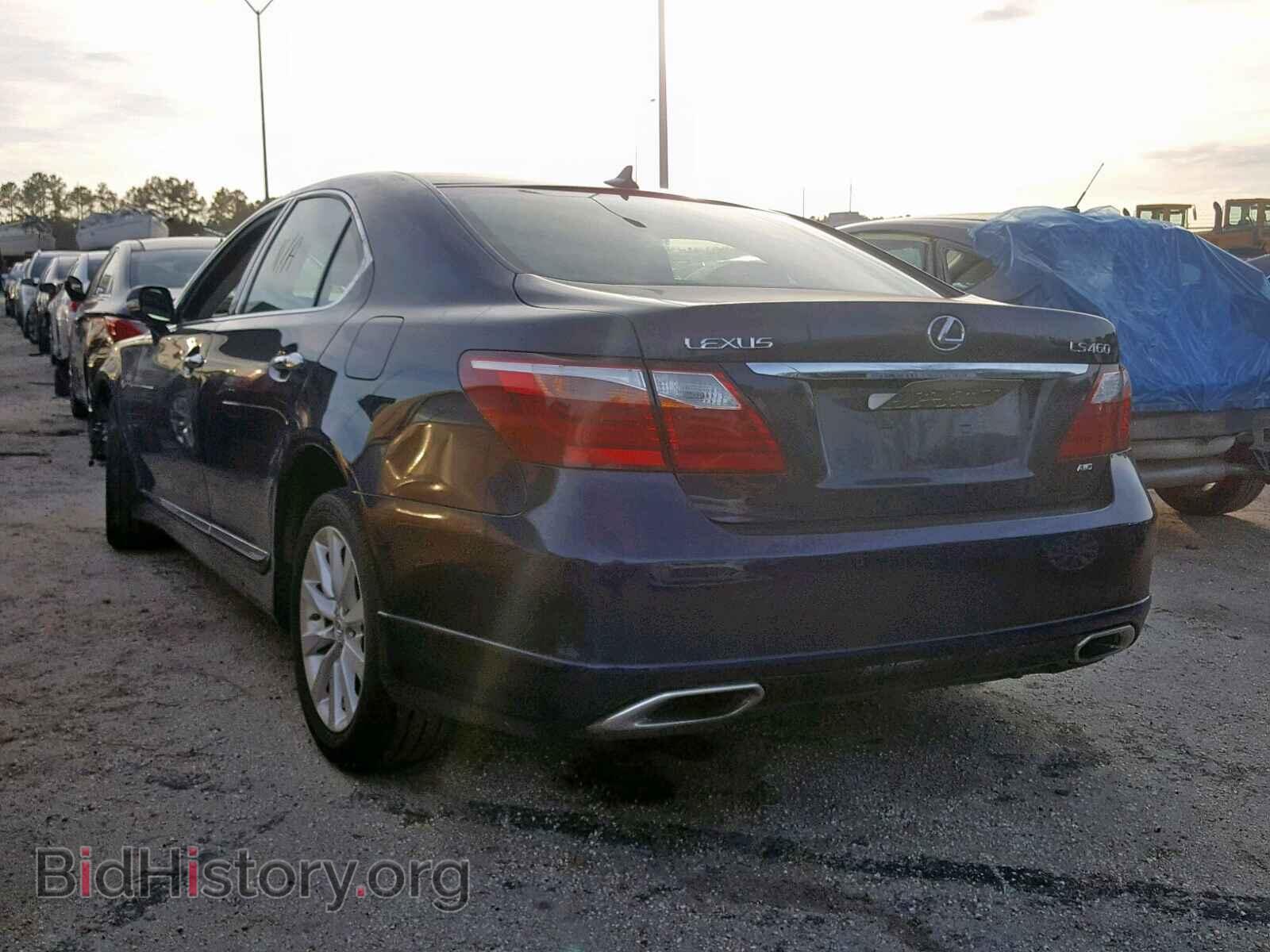 2010 LEXUS LS460 - VIN: JTHCL5EF7A5004726 - Фото 3