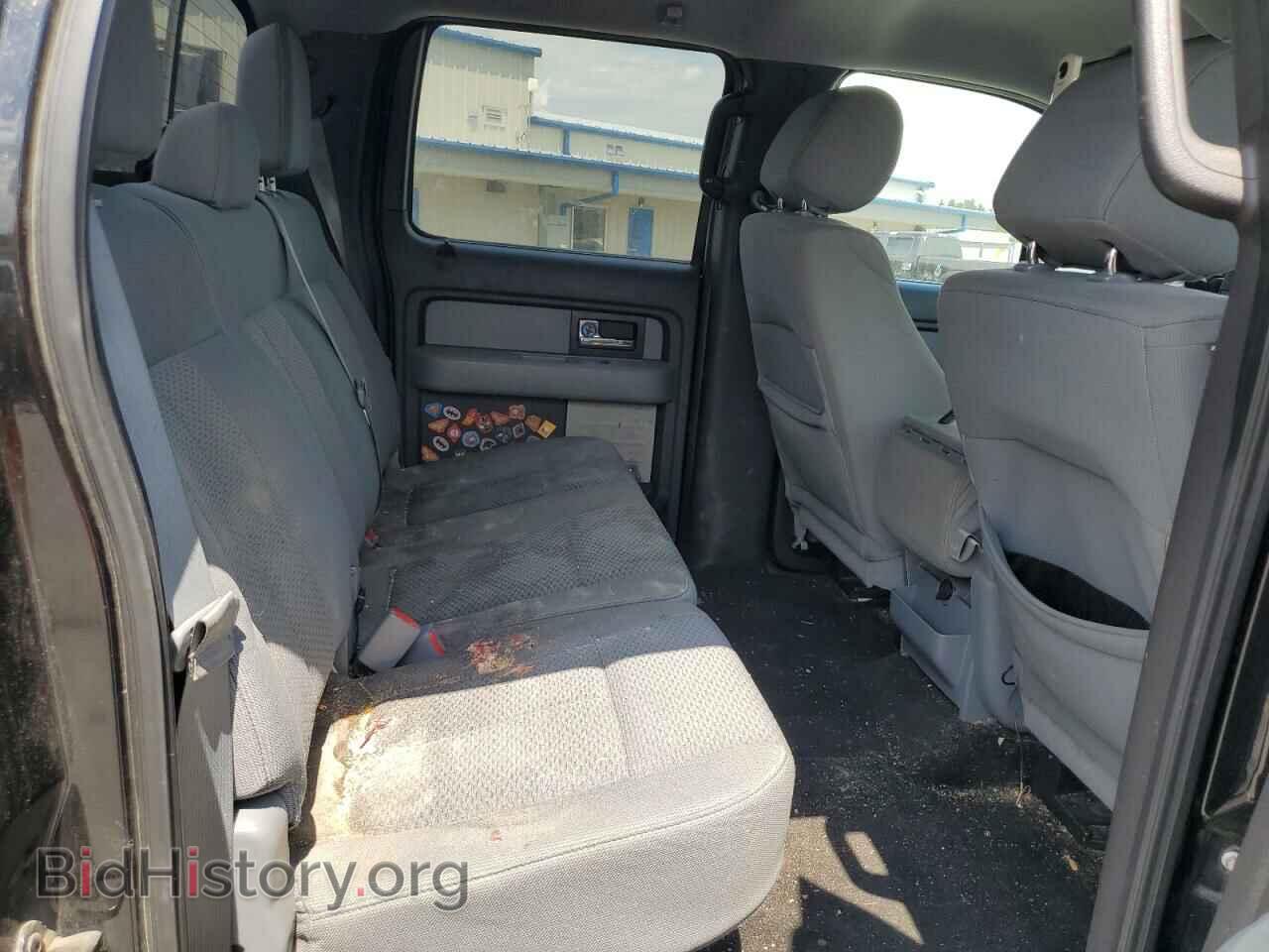 2013 FORD F-150 - VIN: 1FTFW1EF4DFD60595 - Photo 10