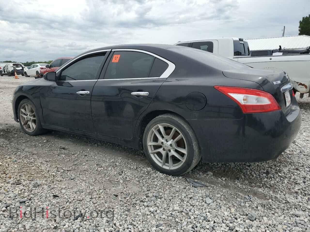 2011 NISSAN MAXIMA - VIN: 1N4AA5AP8BC804077 - Фото 2