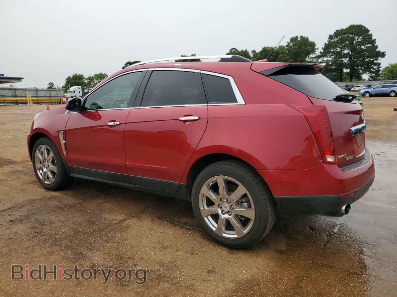 2010 CADILLAC SRX - VIN: 3GYFNCEY7AS635538 - Фото 2