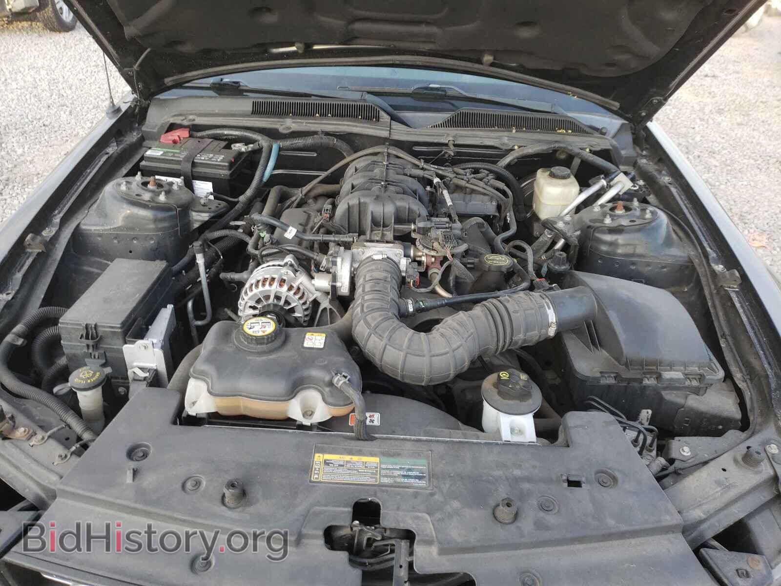 2006 FORD MUSTANG - VIN: 1ZVFT80N565178183 - Фото 7