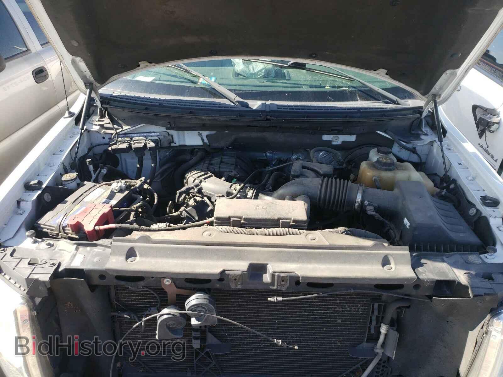 2013 FORD F150 - VIN: 1FTMF1CM3DKD84550 - Фото 7