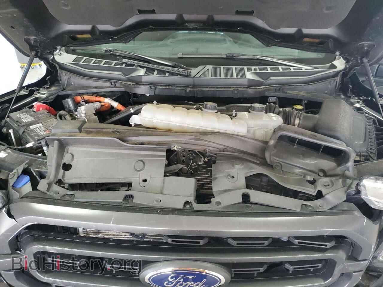 2023 FORD F-150 - VIN: 1FTFW1EDXPFC60973 - Фото 11