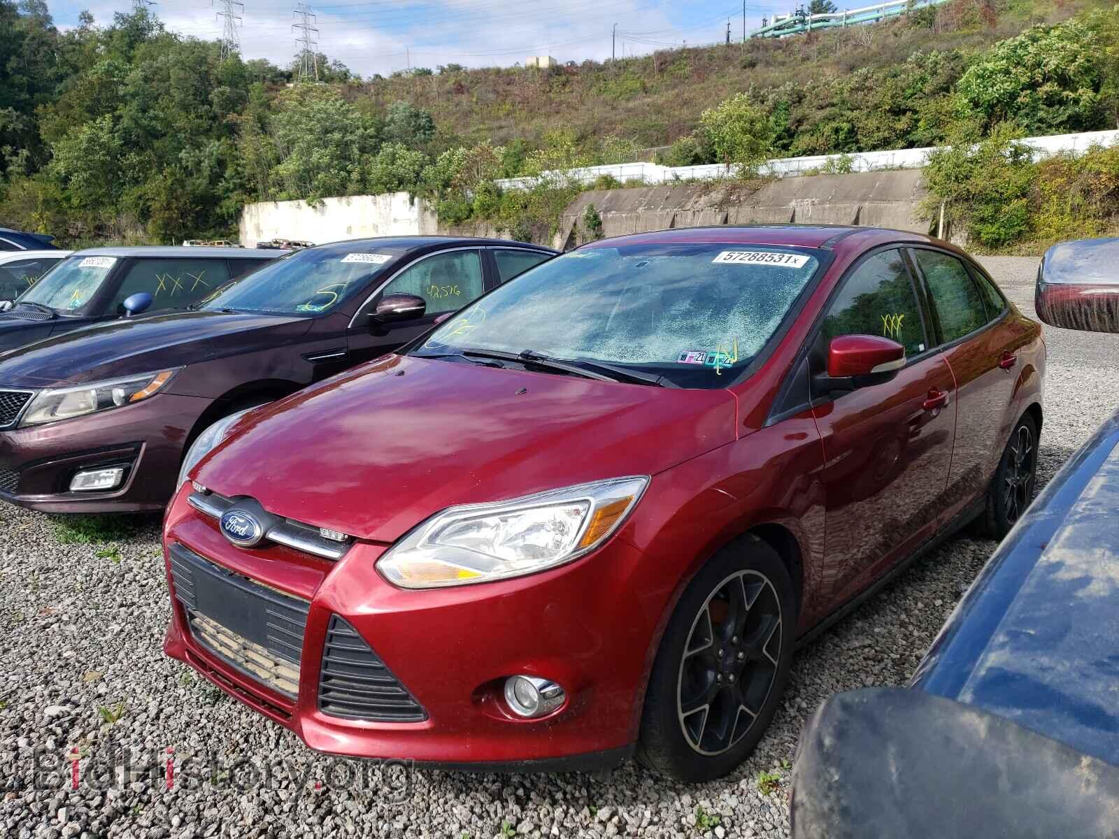 2014 FORD FOCUS - VIN: 1FADP3F29EL106384 - Photo 2