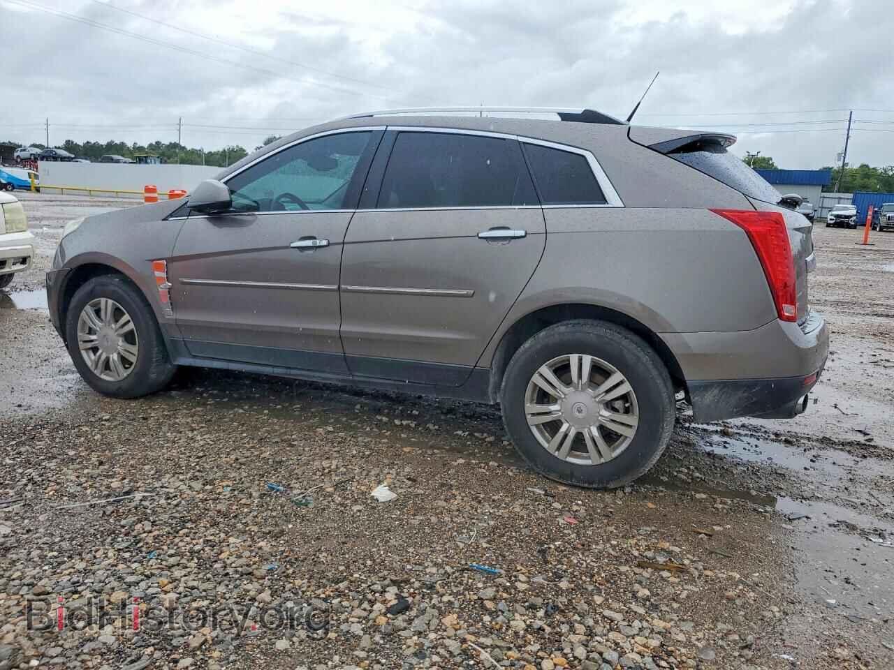 2011 CADILLAC SRX - VIN: 3GYFNAEY3BS556681 - Фото 2