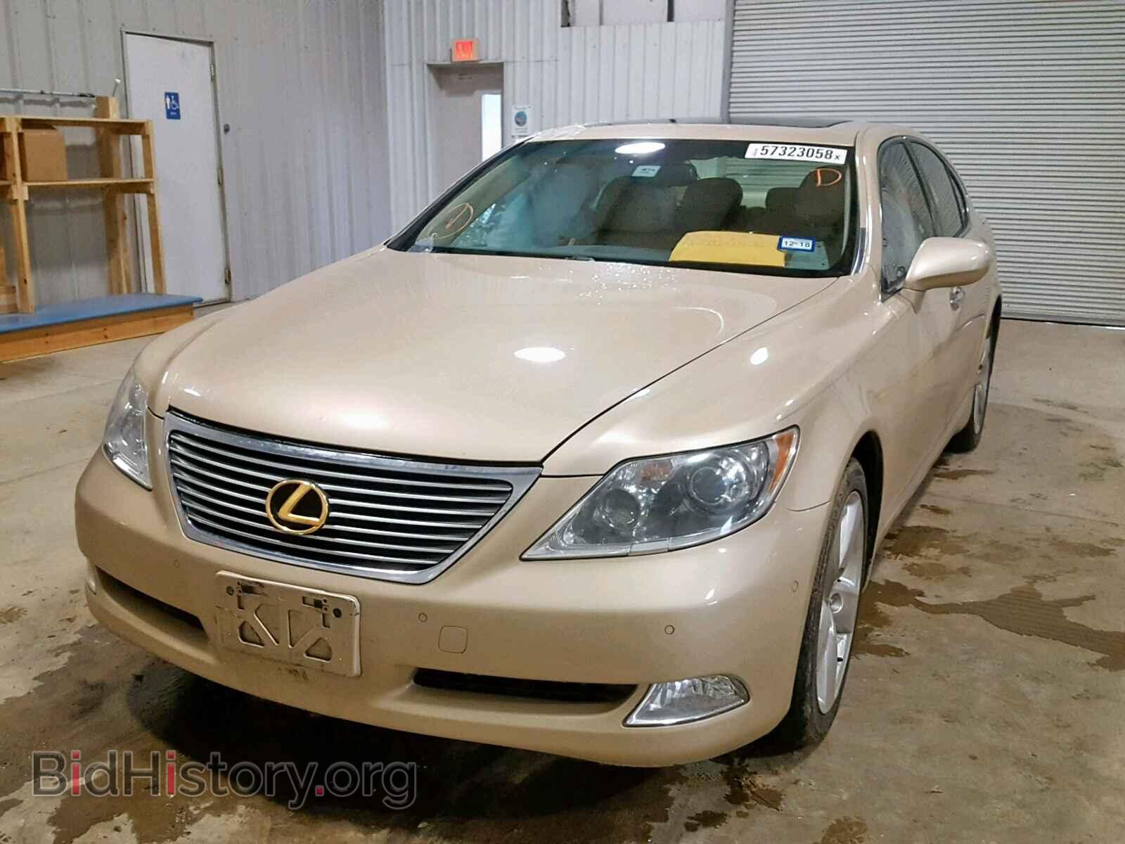 2009 LEXUS LS460 - VIN: JTHBL46F395085952 - Фото 2