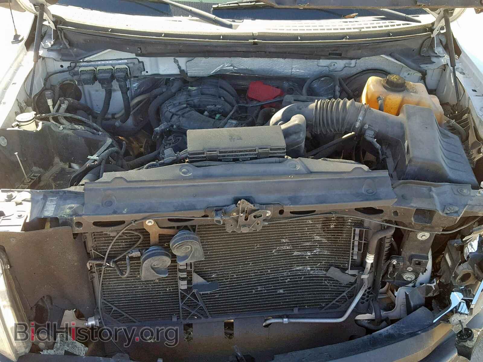 2013 FORD F150 - VIN: 1FTMF1CM4DKD40279 - Фото 7