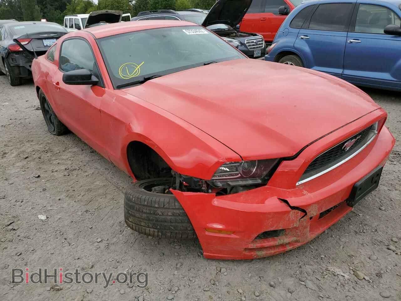 Фотография 1ZVBP8AM0E5229158 - FORD MUSTANG 2014