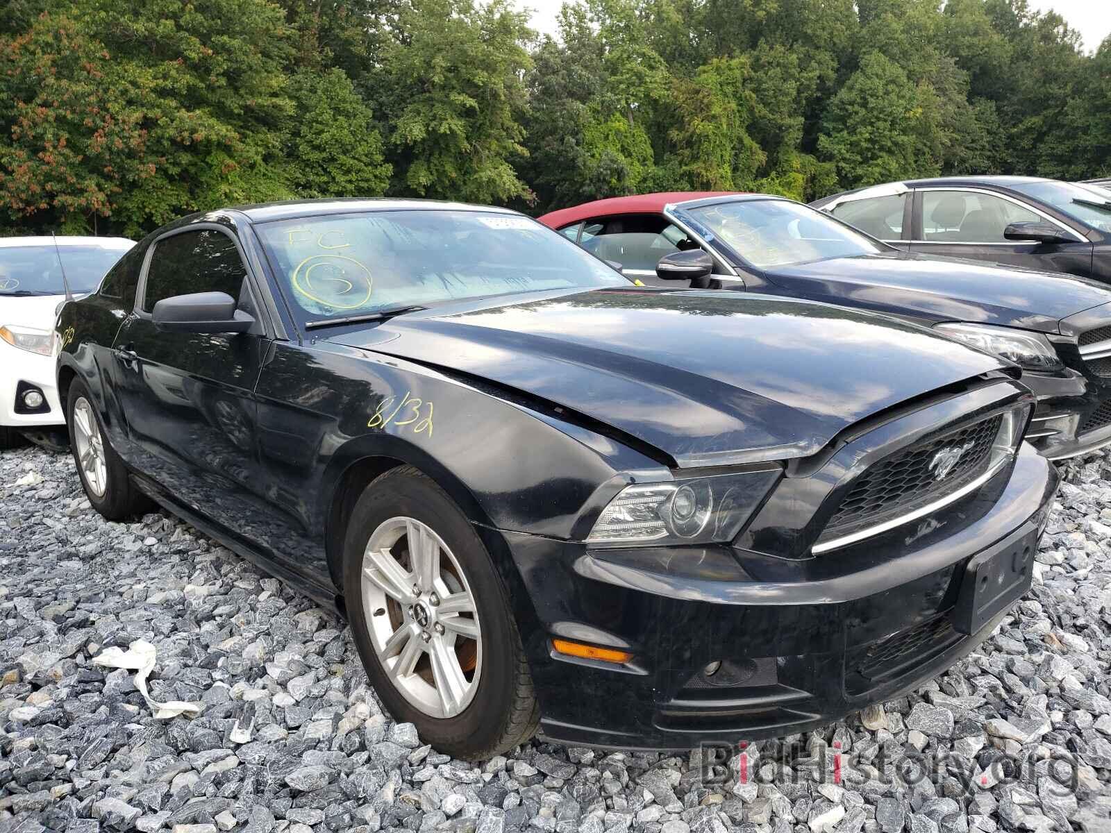 Photo 1ZVBP8AM2E5328869 - FORD MUSTANG 2014