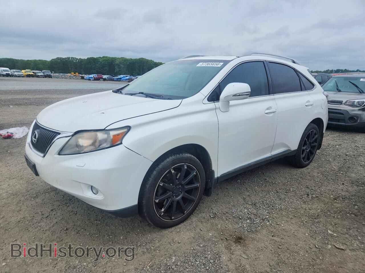 Фотография 2T2BK1BA8BC093675 - LEXUS RX350 2011