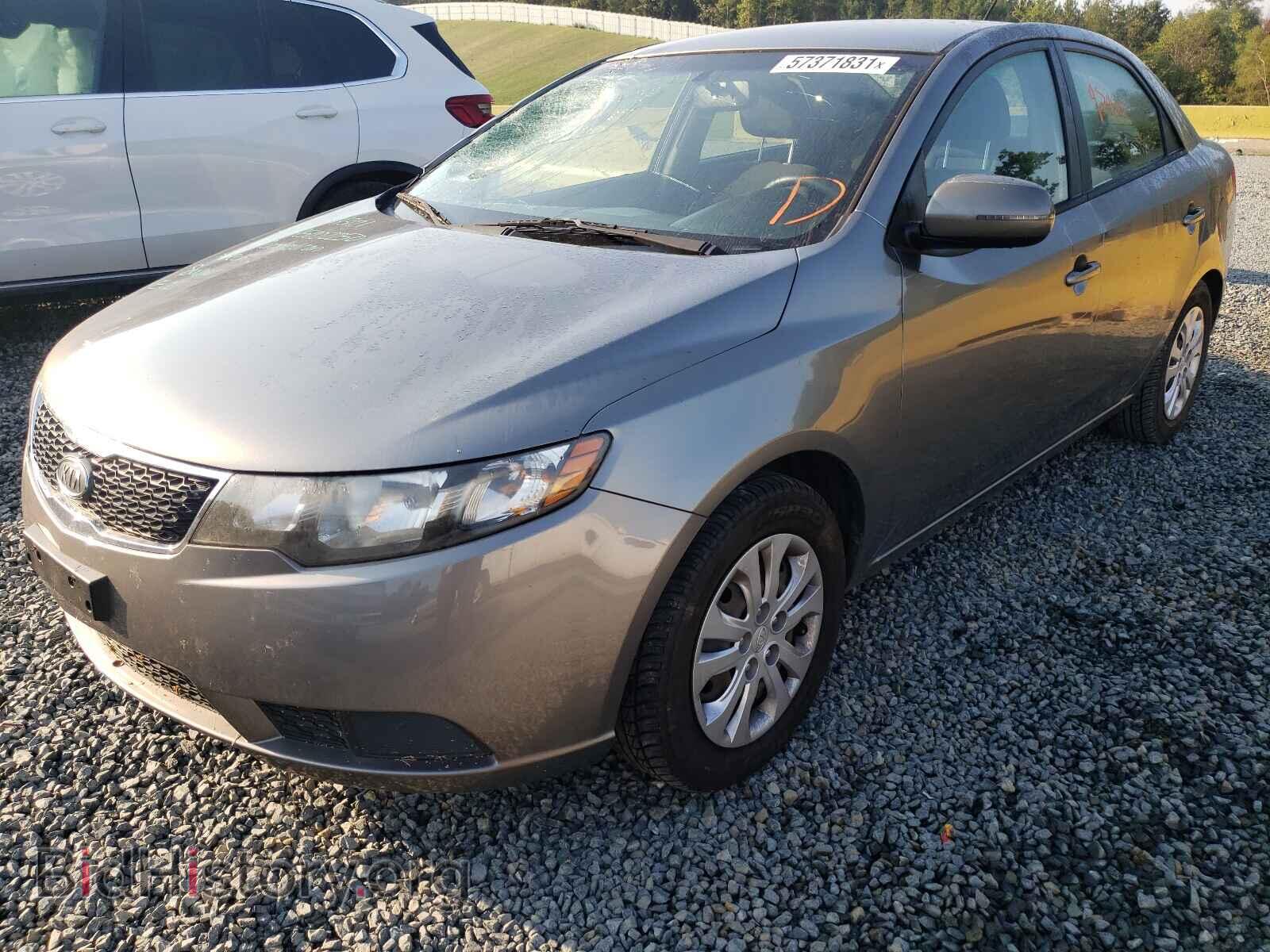 2012 KIA FORTE - VIN: KNAFU4A28C5601179 - Фото 2