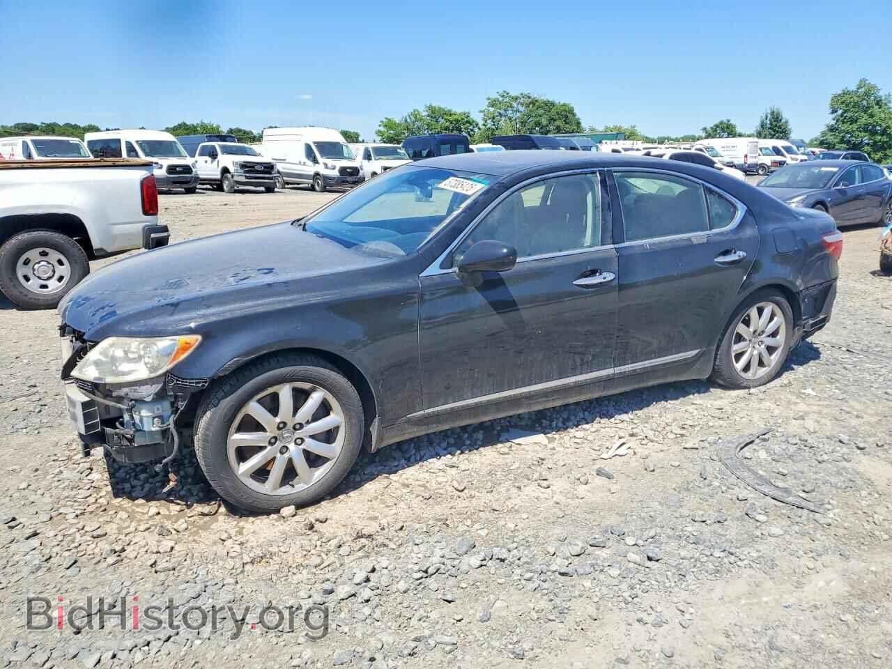 Фотография JTHCL46F095003602 - LEXUS LS460 2009