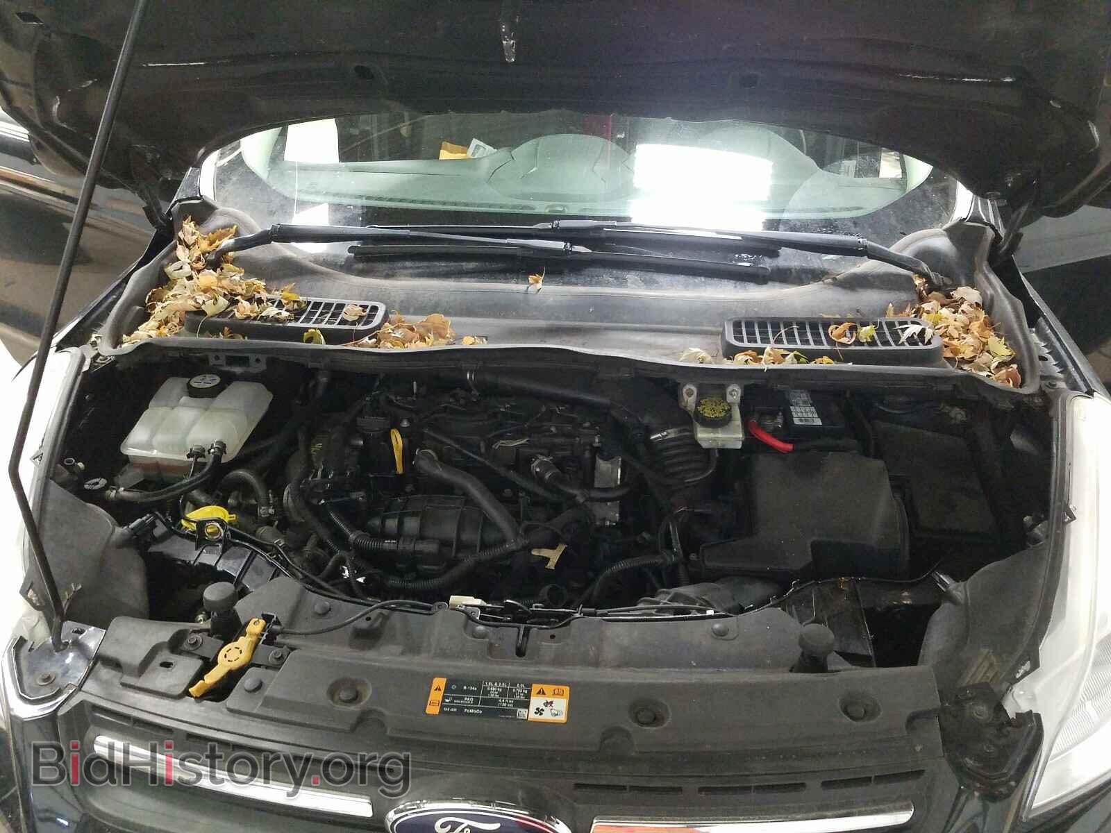 2013 FORD ESCAPE - VIN: 1FMCU0GX2DUD37218 - Photo 7