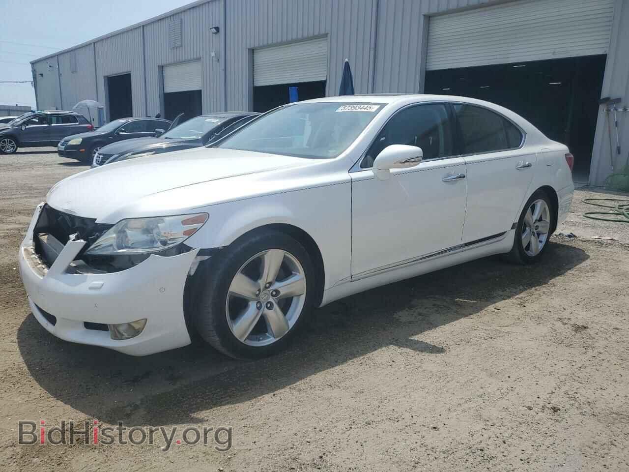 Фотография JTHBL5EF1A5094628 - LEXUS LS460 2010