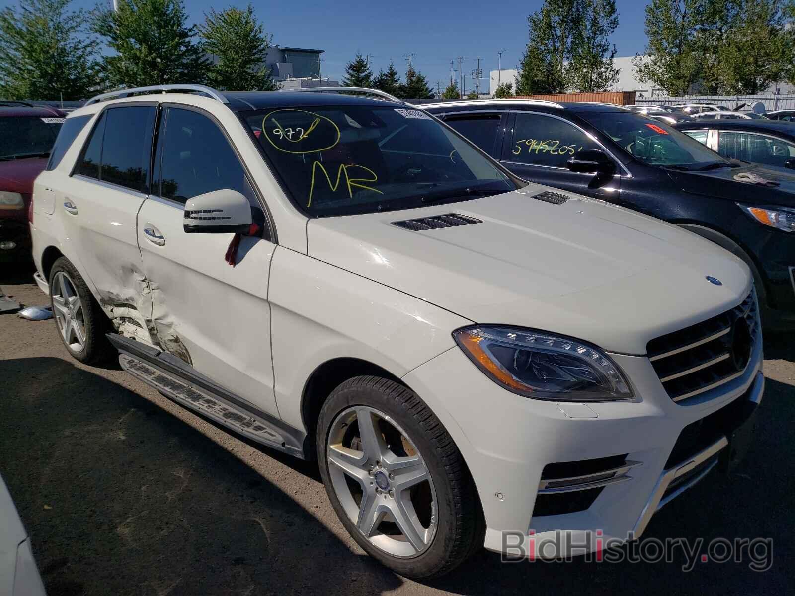 Photo 4JGDA5HB8DA253841 - MERCEDES-BENZ M-CLASS 2013