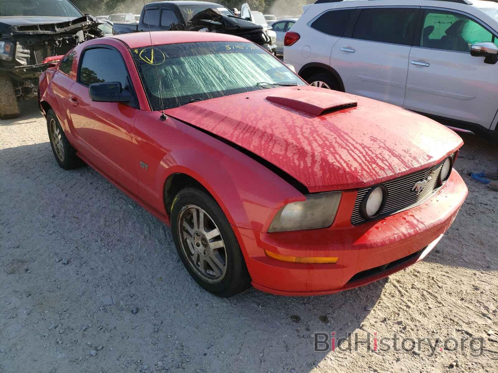Photo 1ZVHT82H375243873 - FORD MUSTANG 2007