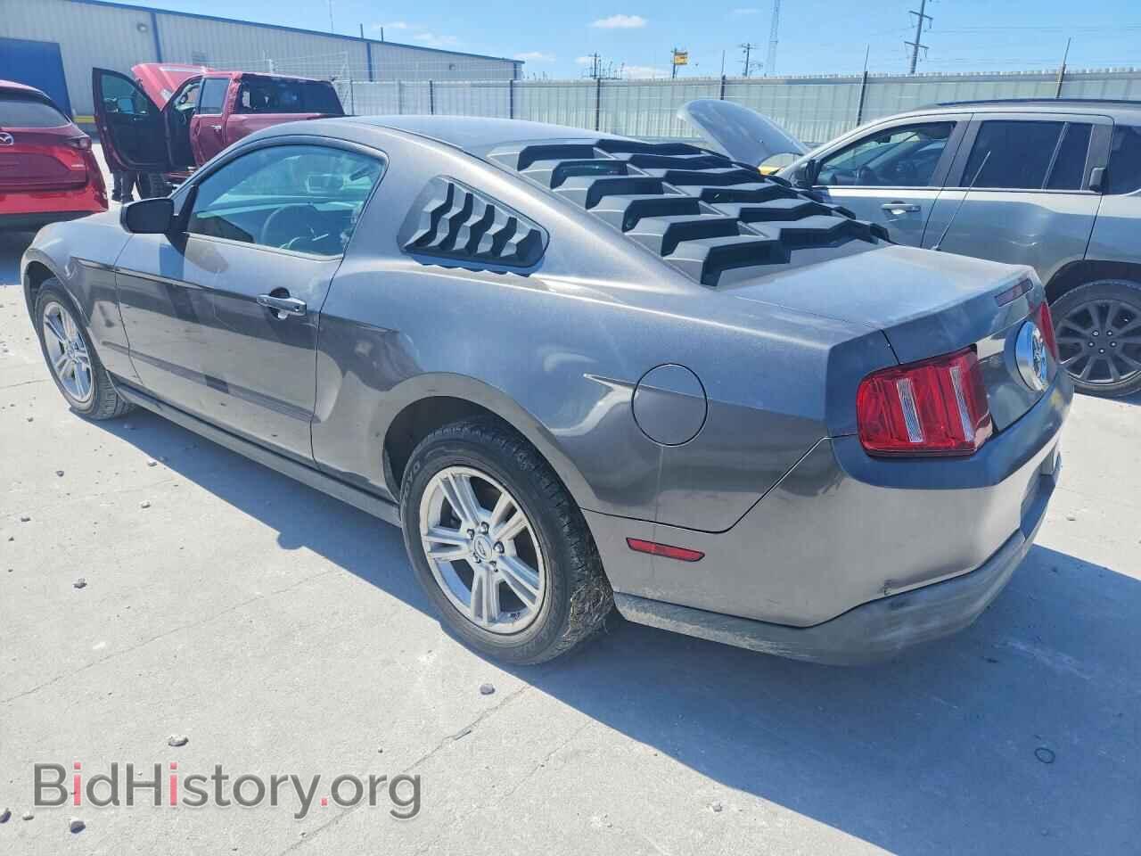2010 FORD MUSTANG - VIN: 1ZVBP8AN8A5134169 - Фото 2