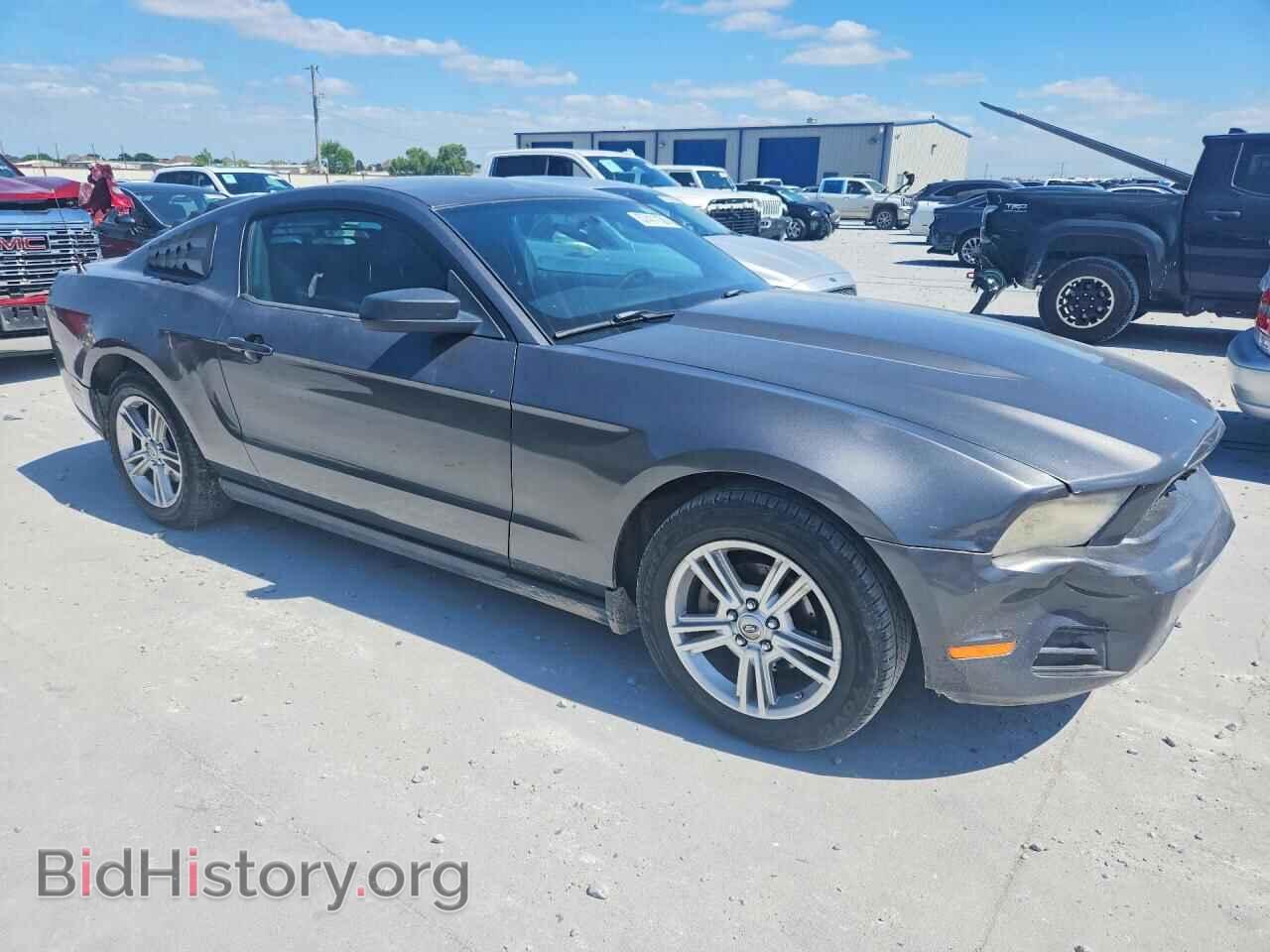 2010 FORD MUSTANG - VIN: 1ZVBP8AN8A5134169 - Фото 4
