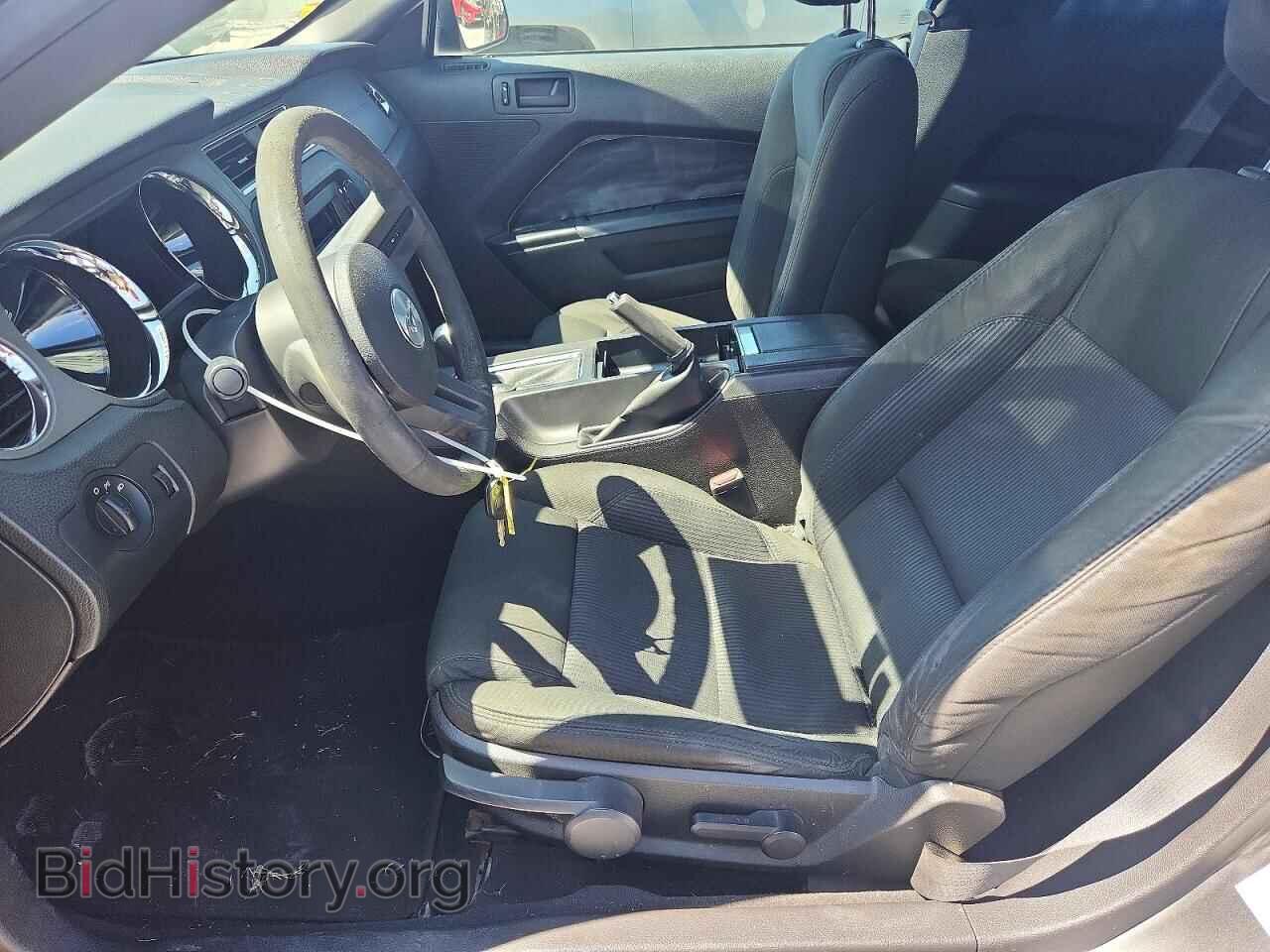2010 FORD MUSTANG - VIN: 1ZVBP8AN8A5134169 - Фото 7