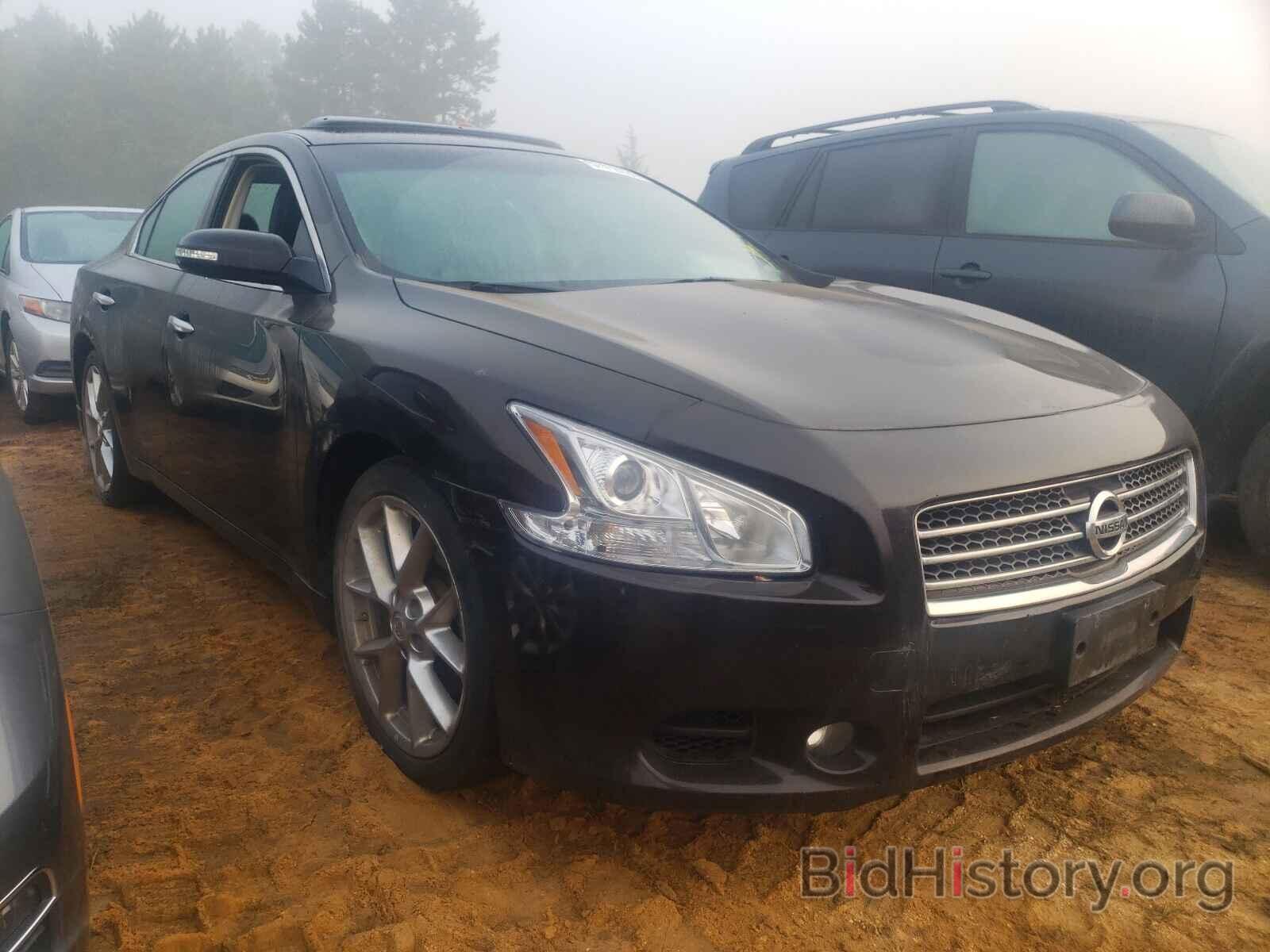 Photo 1N4AA5AP1AC832107 - NISSAN MAXIMA 2010