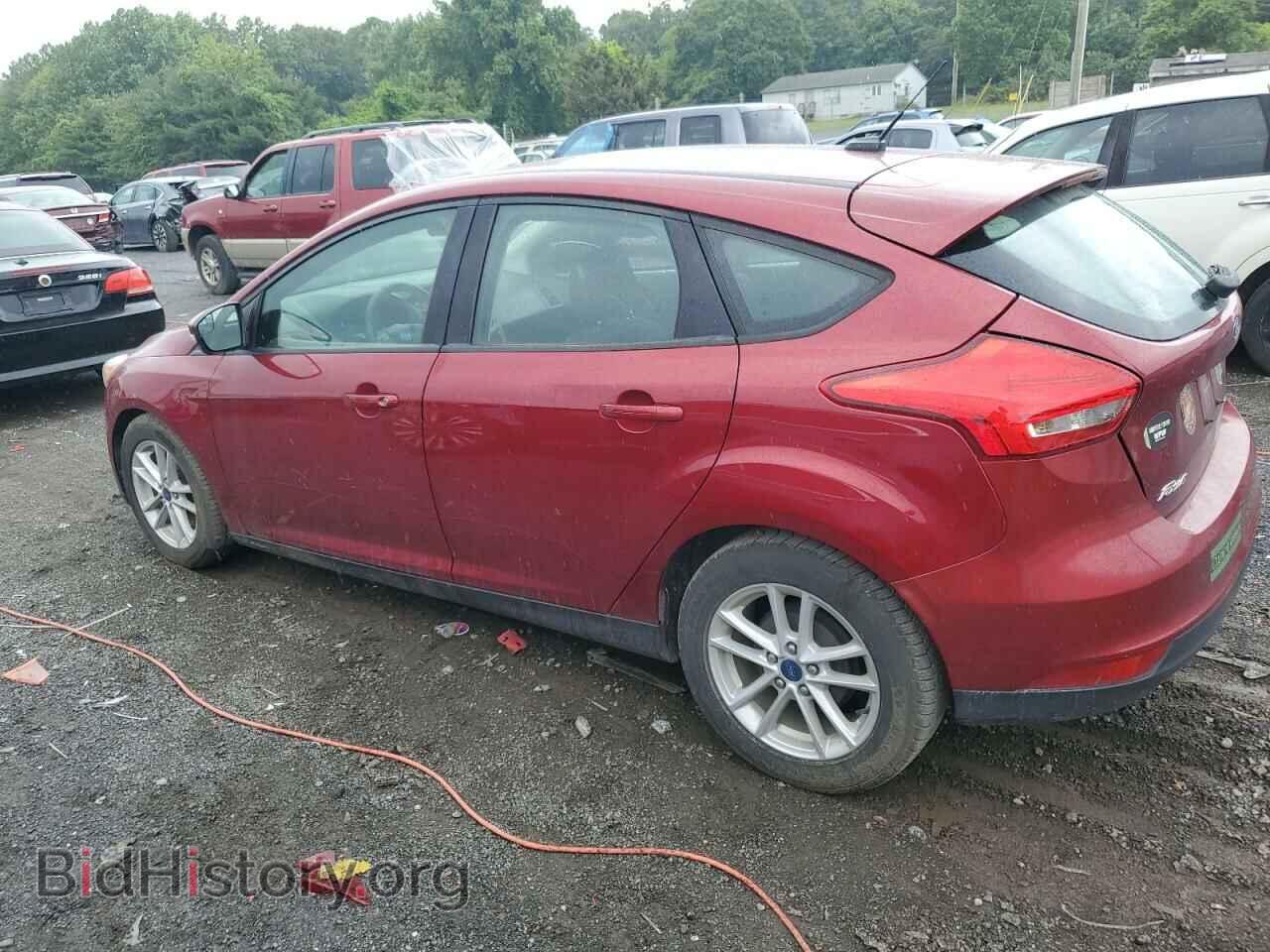 2017 FORD FOCUS - VIN: 1FADP3K21HL338584 - Фото 2