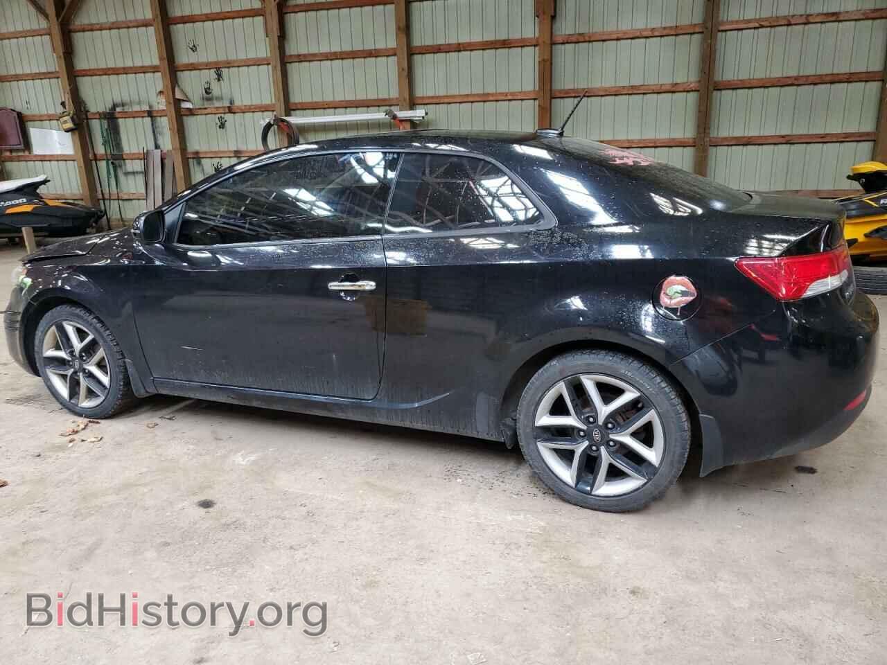 2013 KIA FORTE - VIN: KNAFW6A33D5650368 - Фото 2