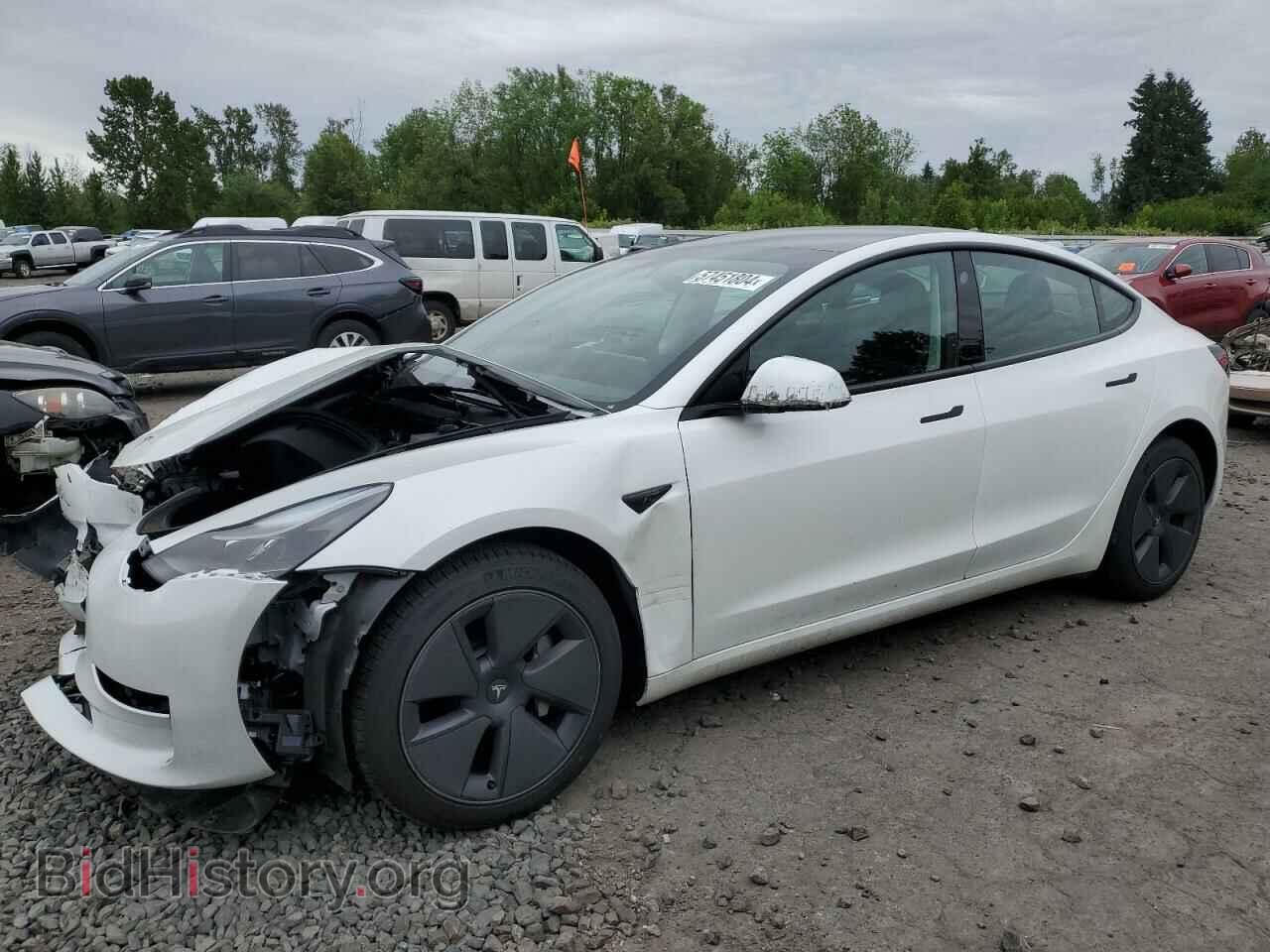 Photo 5YJ3E1EA2PF564136 - TESLA MODEL 3 2023
