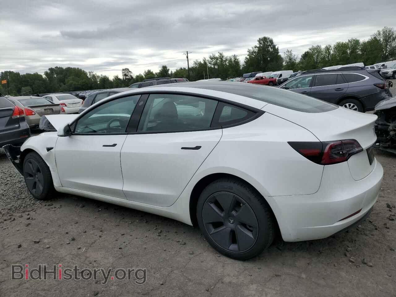 2023 TESLA MODEL 3 - VIN: 5YJ3E1EA2PF564136 - Photo 2