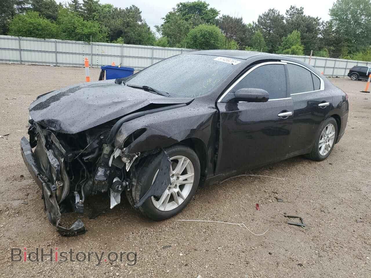 Photo 1N4AA5AP1AC851014 - NISSAN MAXIMA 2010