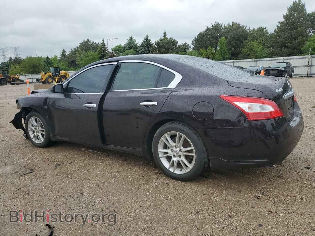 2010 NISSAN MAXIMA - VIN: 1N4AA5AP1AC851014 - Фото 2
