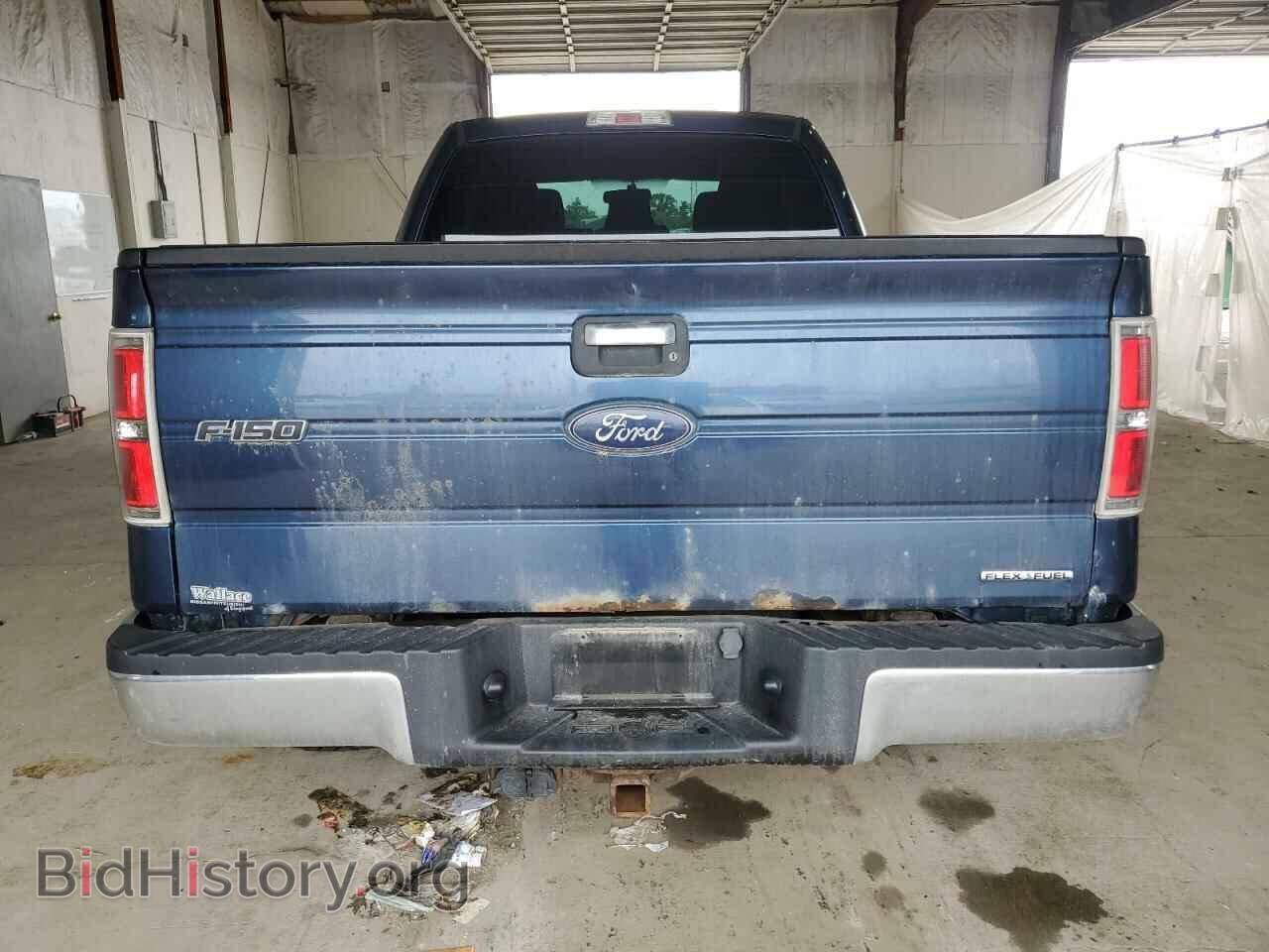 2013 FORD F-150 - VIN: 1FTFX1EF0DFD99679 - Фото 6