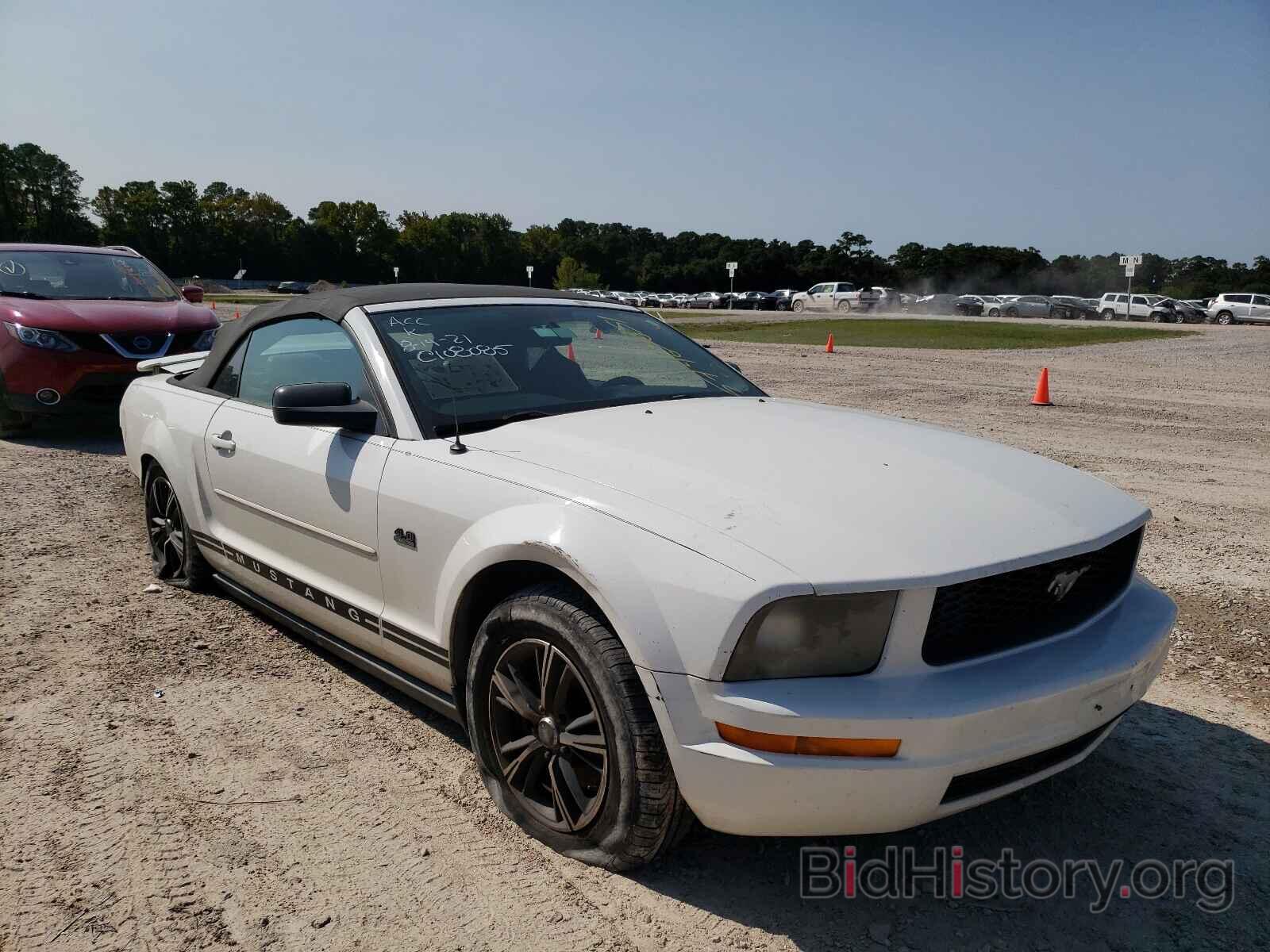 Photo 1ZVFT84N175260536 - FORD MUSTANG 2007