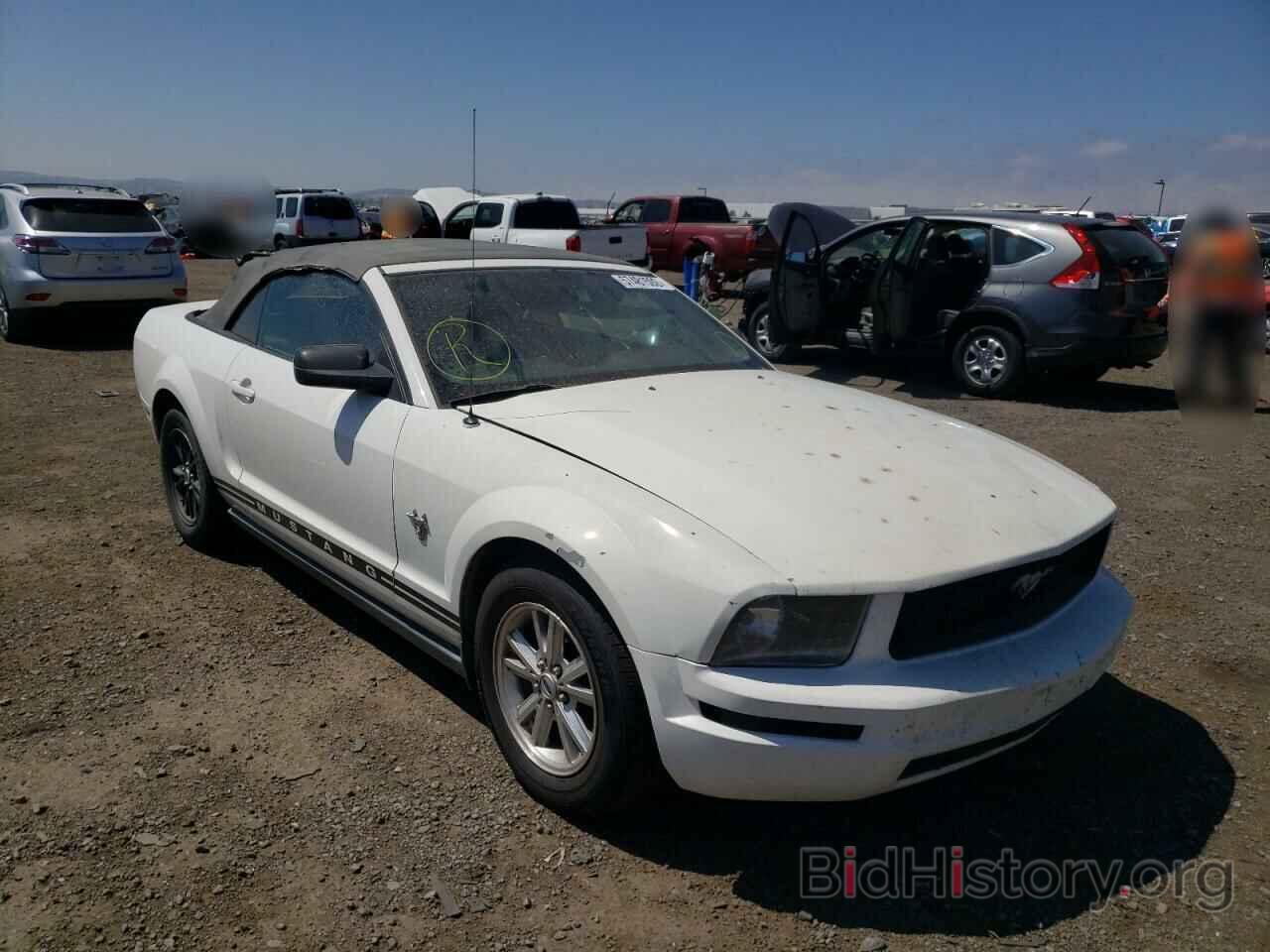Photo 1ZVHT84N895112492 - FORD MUSTANG 2009