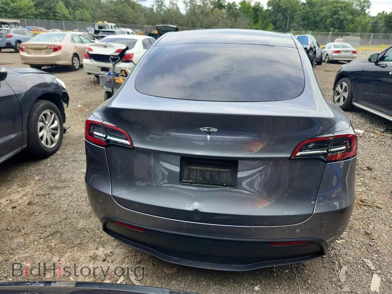 2024 TESLA MODEL Y - VIN: 7SAYGDED0RF201058 - Photo 6