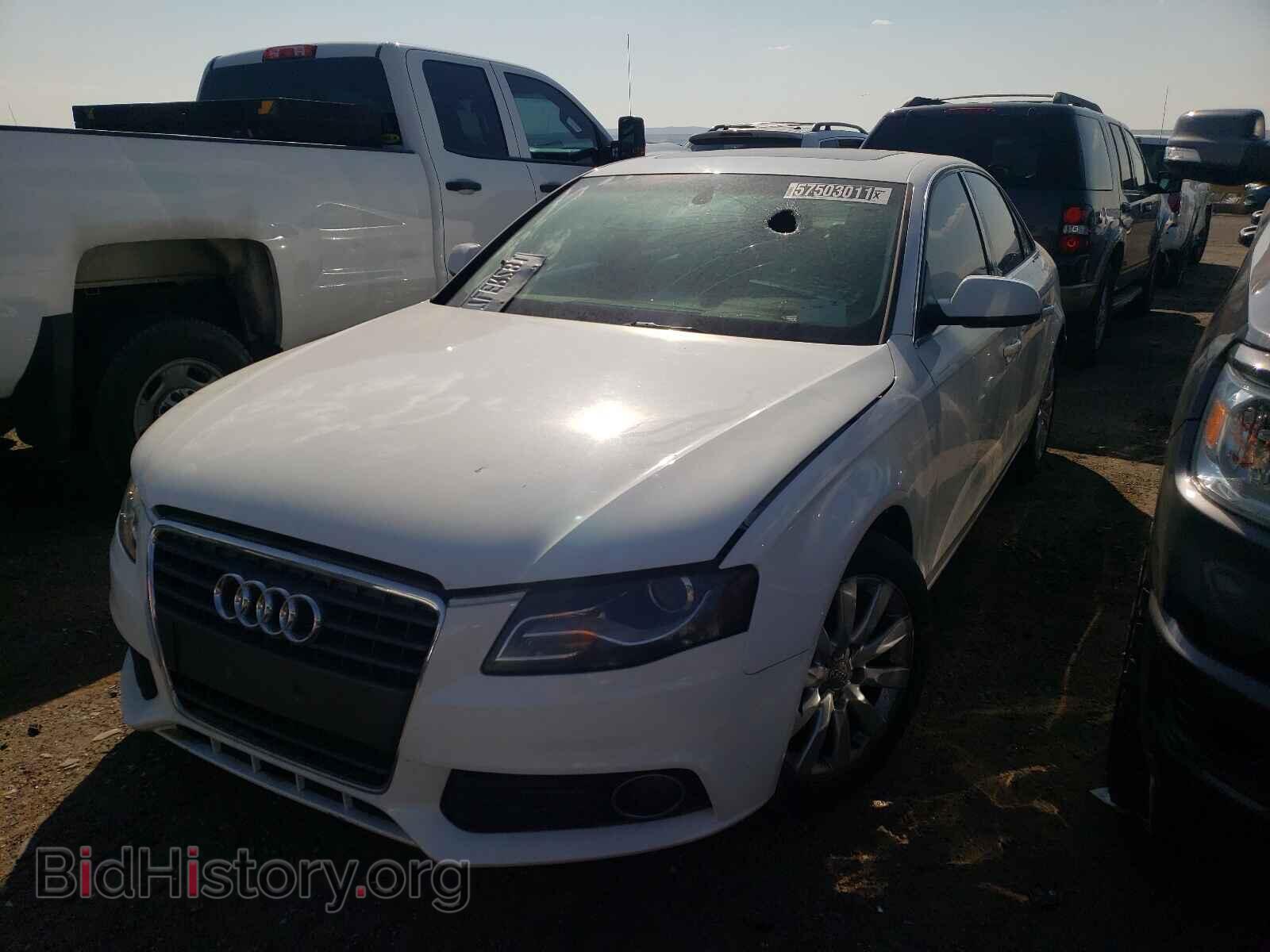 2011 AUDI A4 - VIN: WAUEFAFL7BN034807 - Фото 2