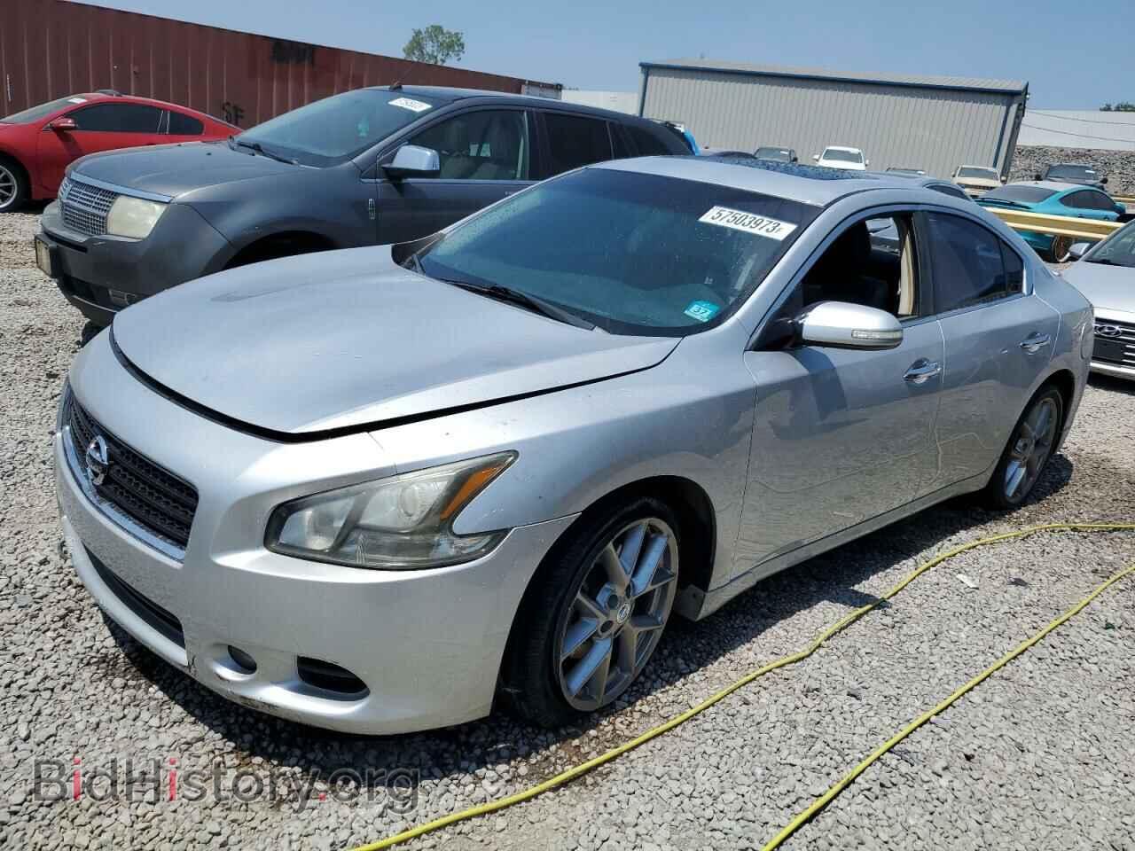 Фотография 1N4AA5AP3BC831705 - NISSAN MAXIMA 2011