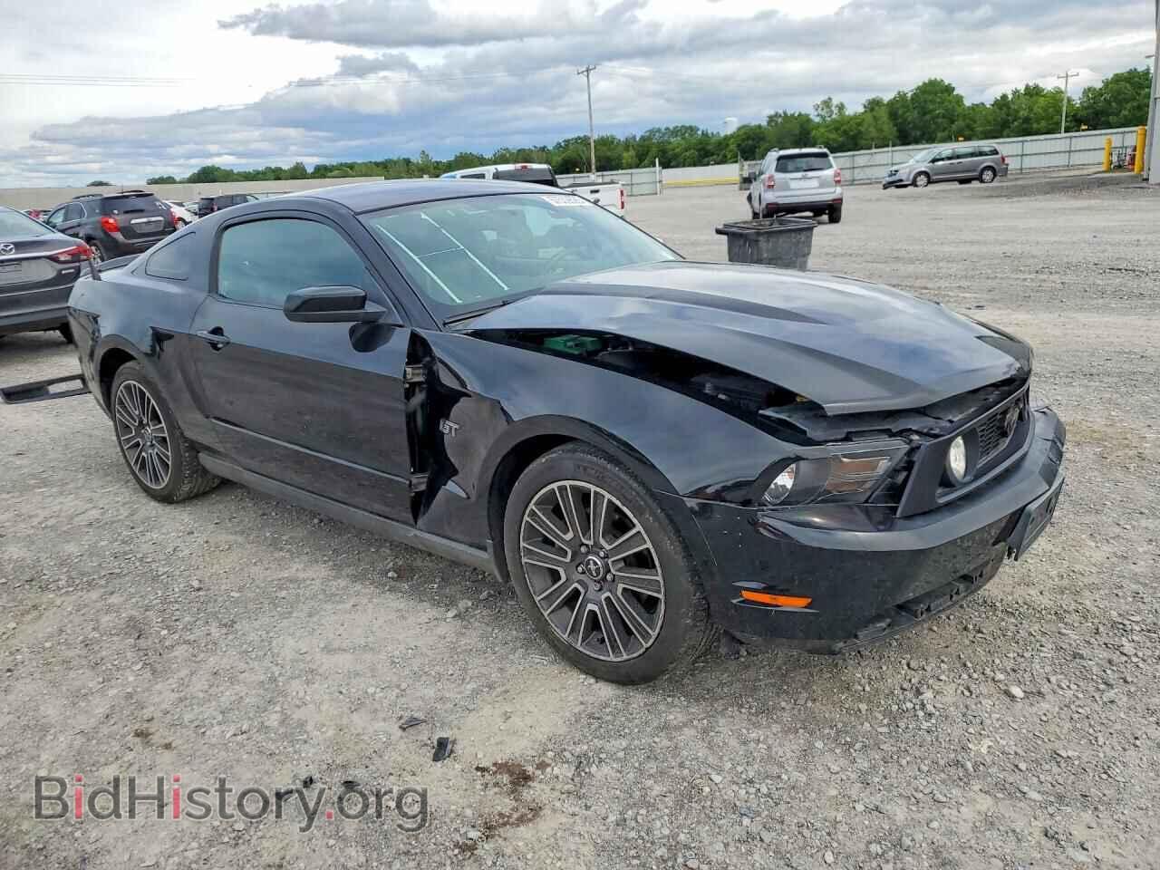 2010 FORD MUSTANG - VIN: 1ZVBP8CH6A5128989 - Фото 4