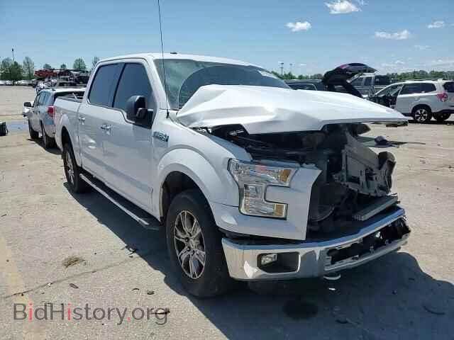 2015 FORD F-150 - VIN: 1FTEW1EF4FKE35589 - Фото 13