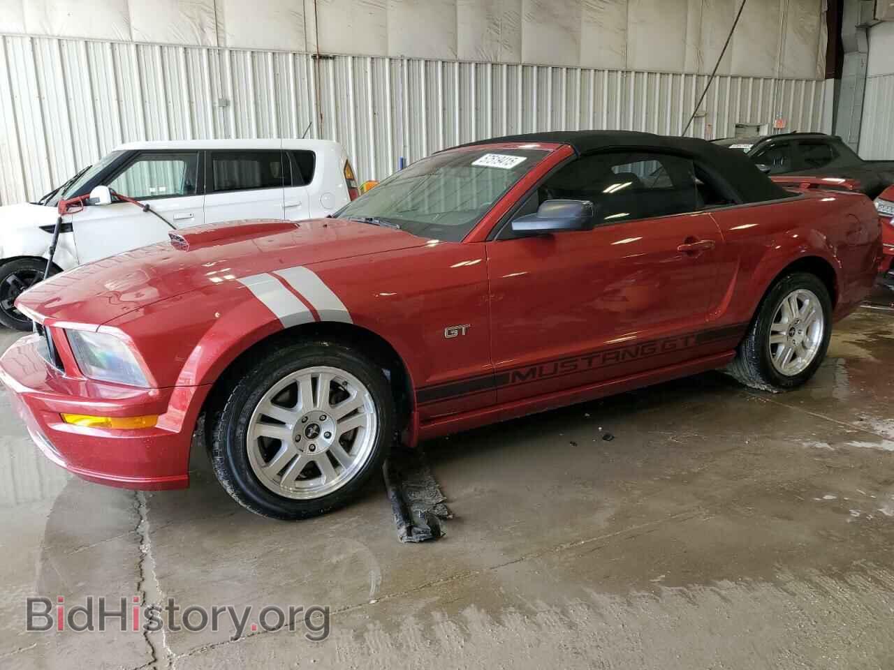 Photo 1ZVHT85H385156830 - FORD MUSTANG 2008