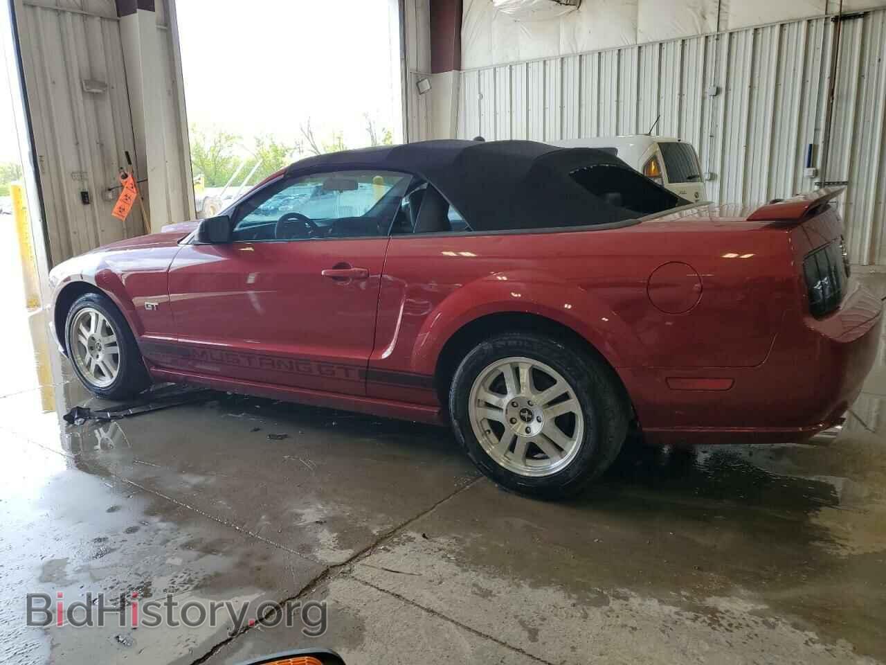 2008 FORD MUSTANG - VIN: 1ZVHT85H385156830 - Фото 2